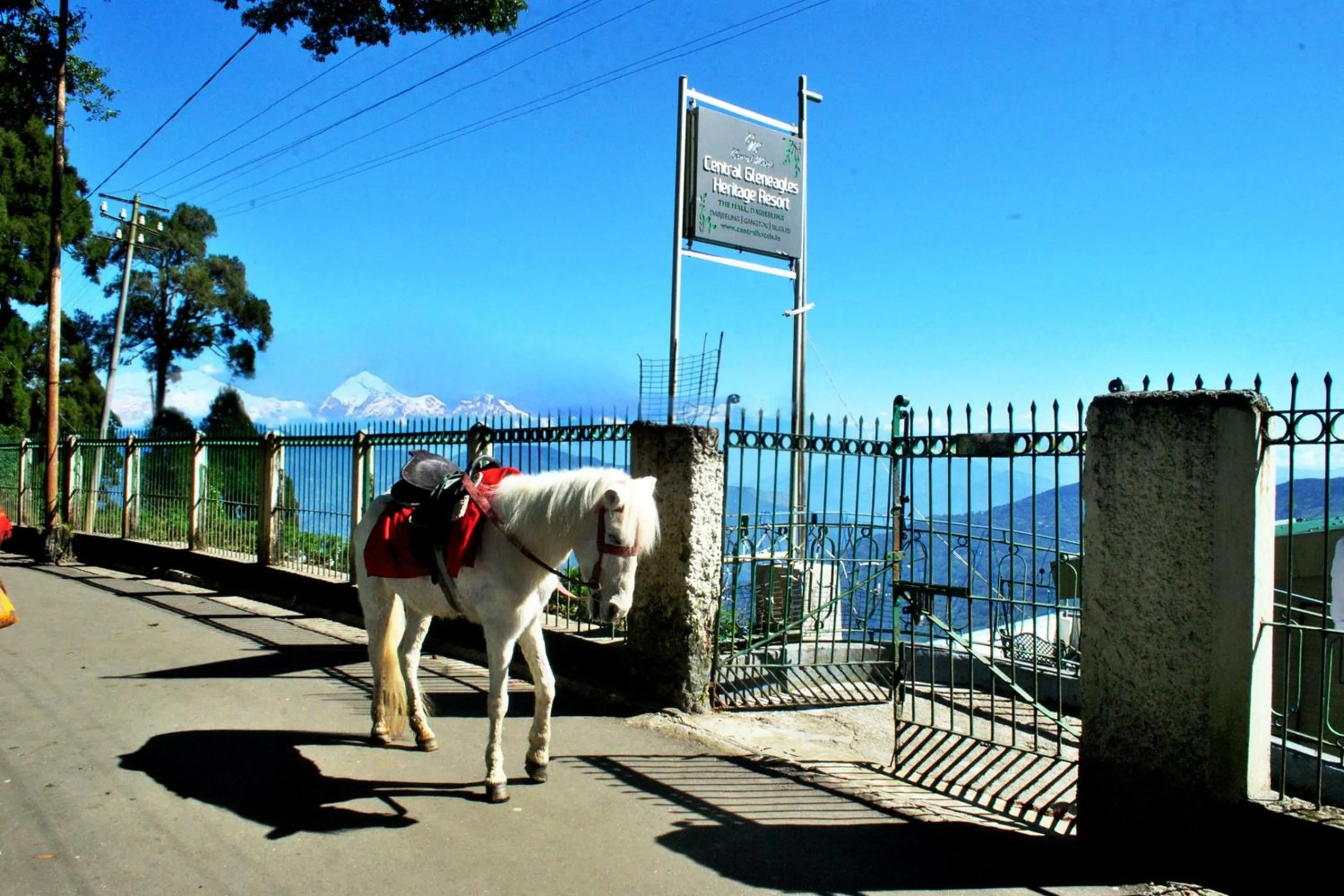 Horse-riding in Central Gleneagles Heritage Resort Former Bungalow of Ex-TATA Chairman Russi Mody The Mall Road Darjeeling