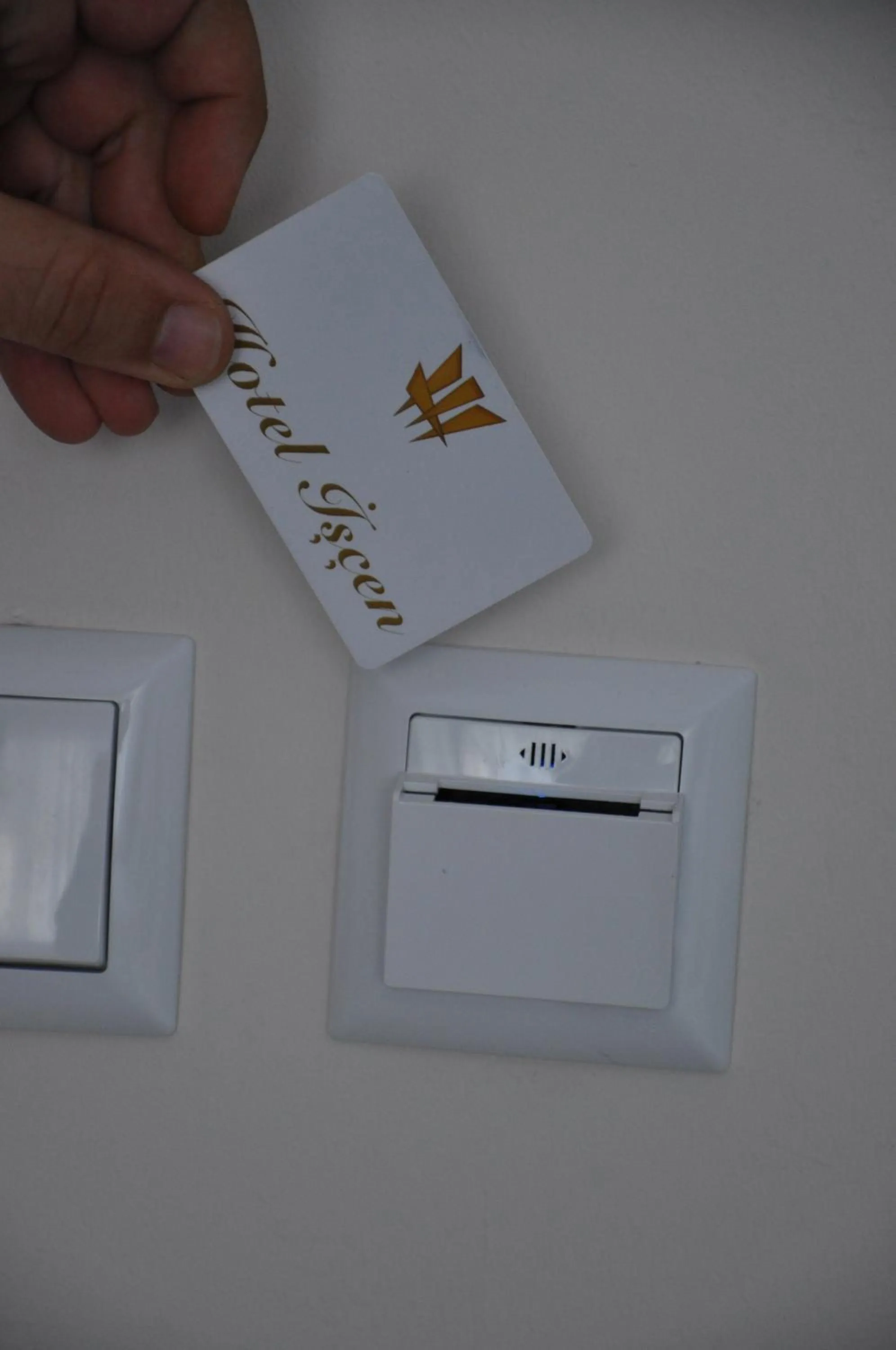 Decorative detail in Hotel Iscen