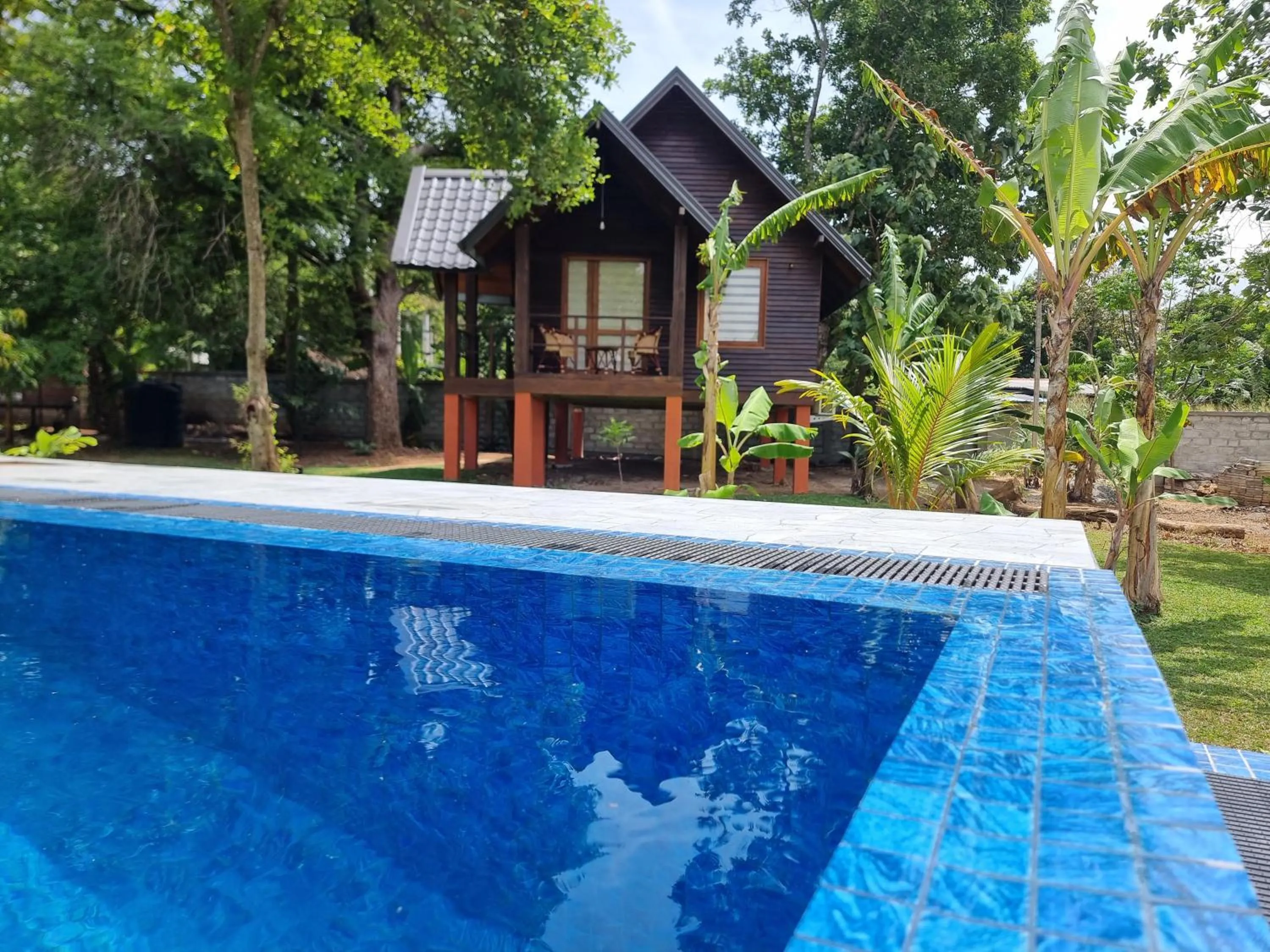 Pool view in Liyon Rest sigiriya