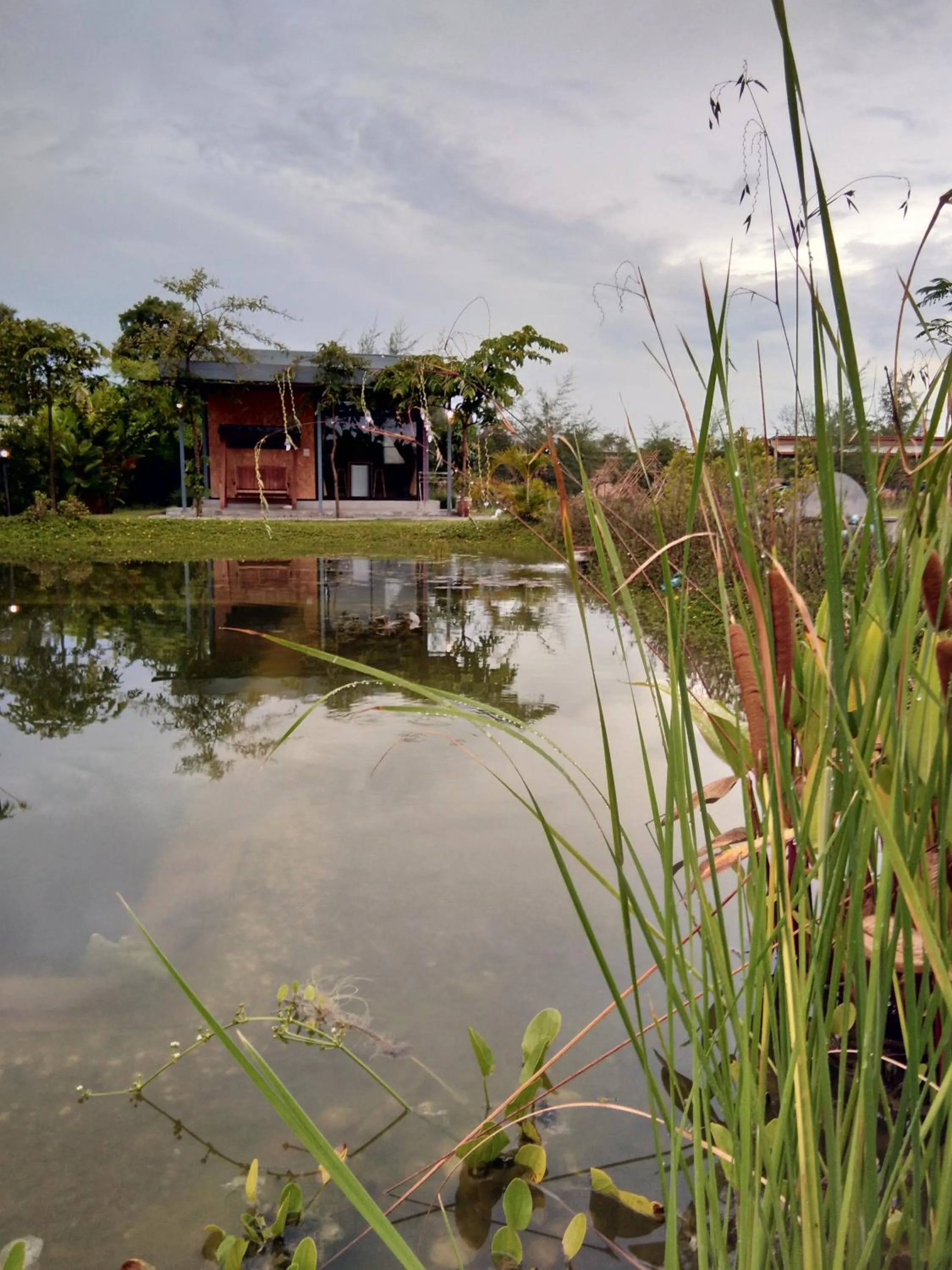 Other in Ban Bang Home Resort