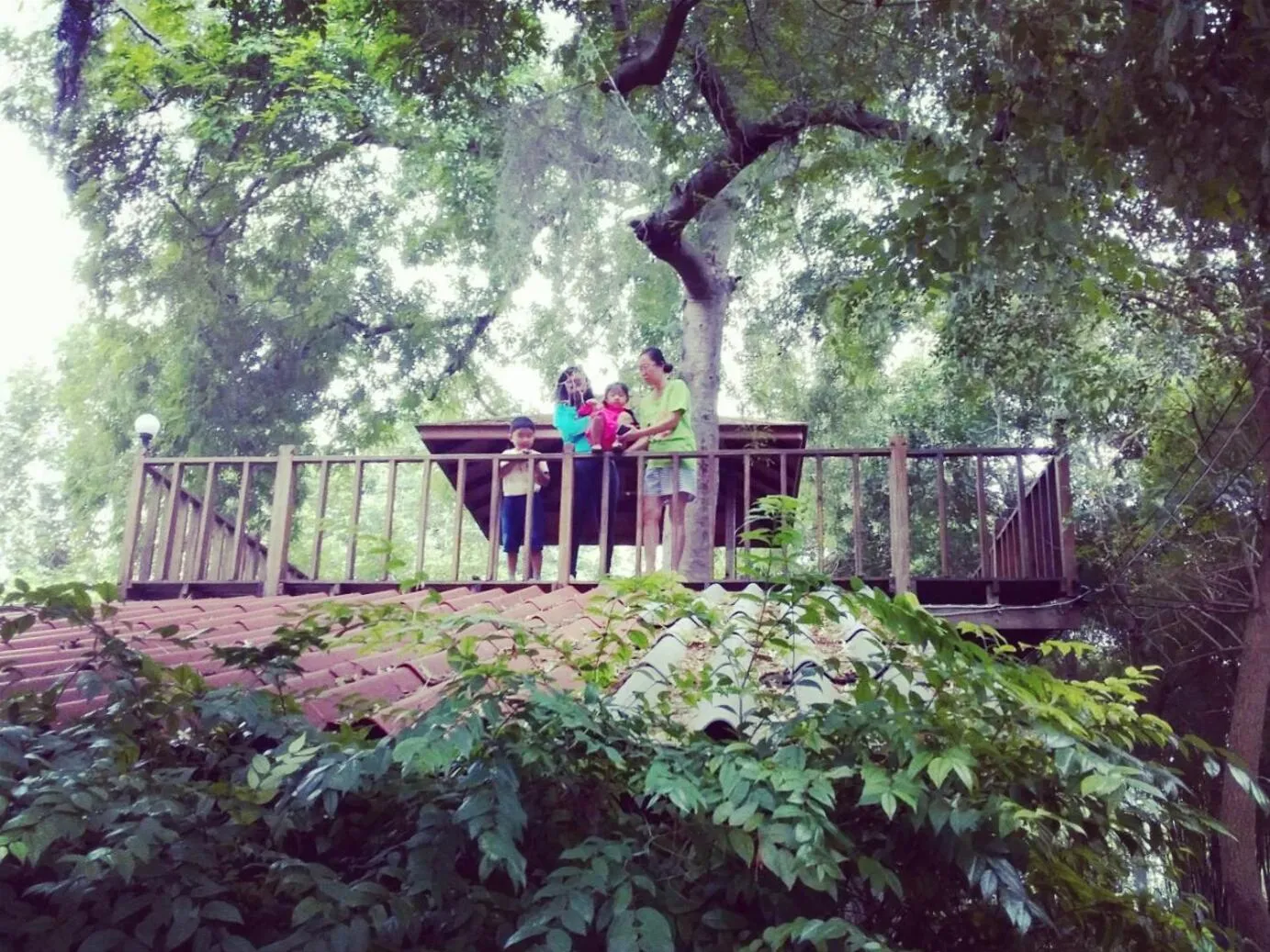 Garden view in Ban Bang Home Resort