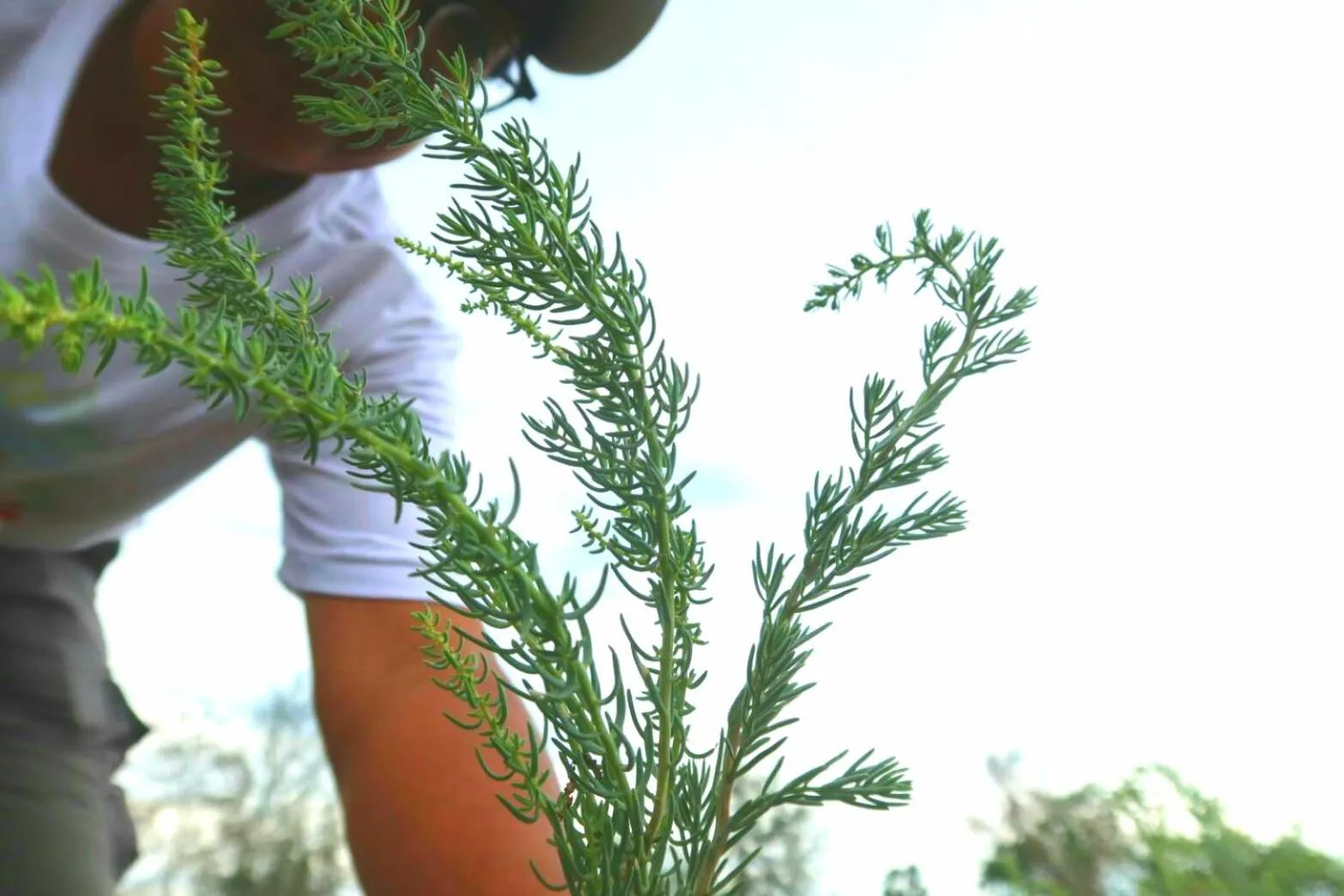 Ban Bang Home Resort