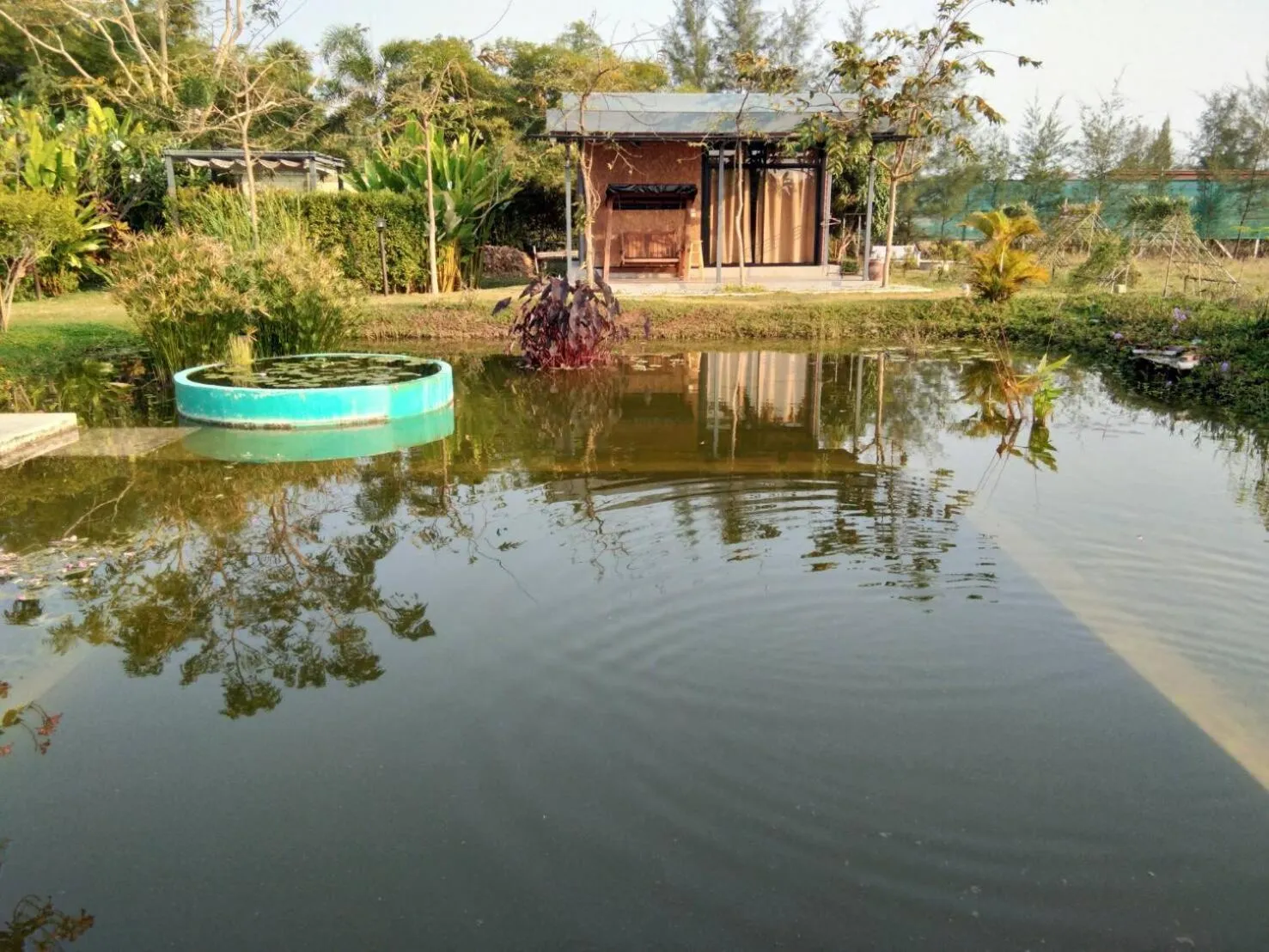 View (from property/room) in Ban Bang Home Resort