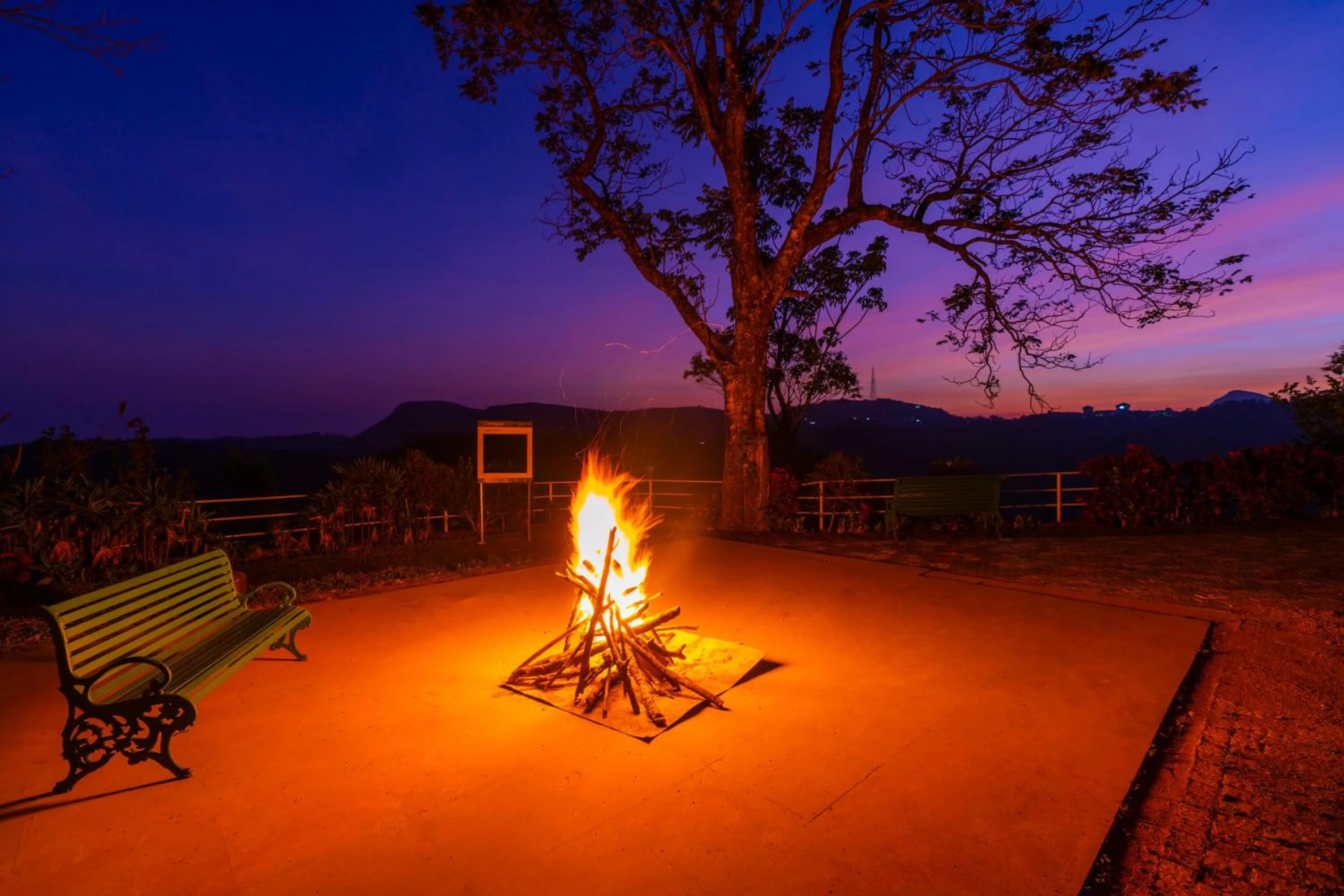 Natural landscape in Winter Vale Green Stay Resorts