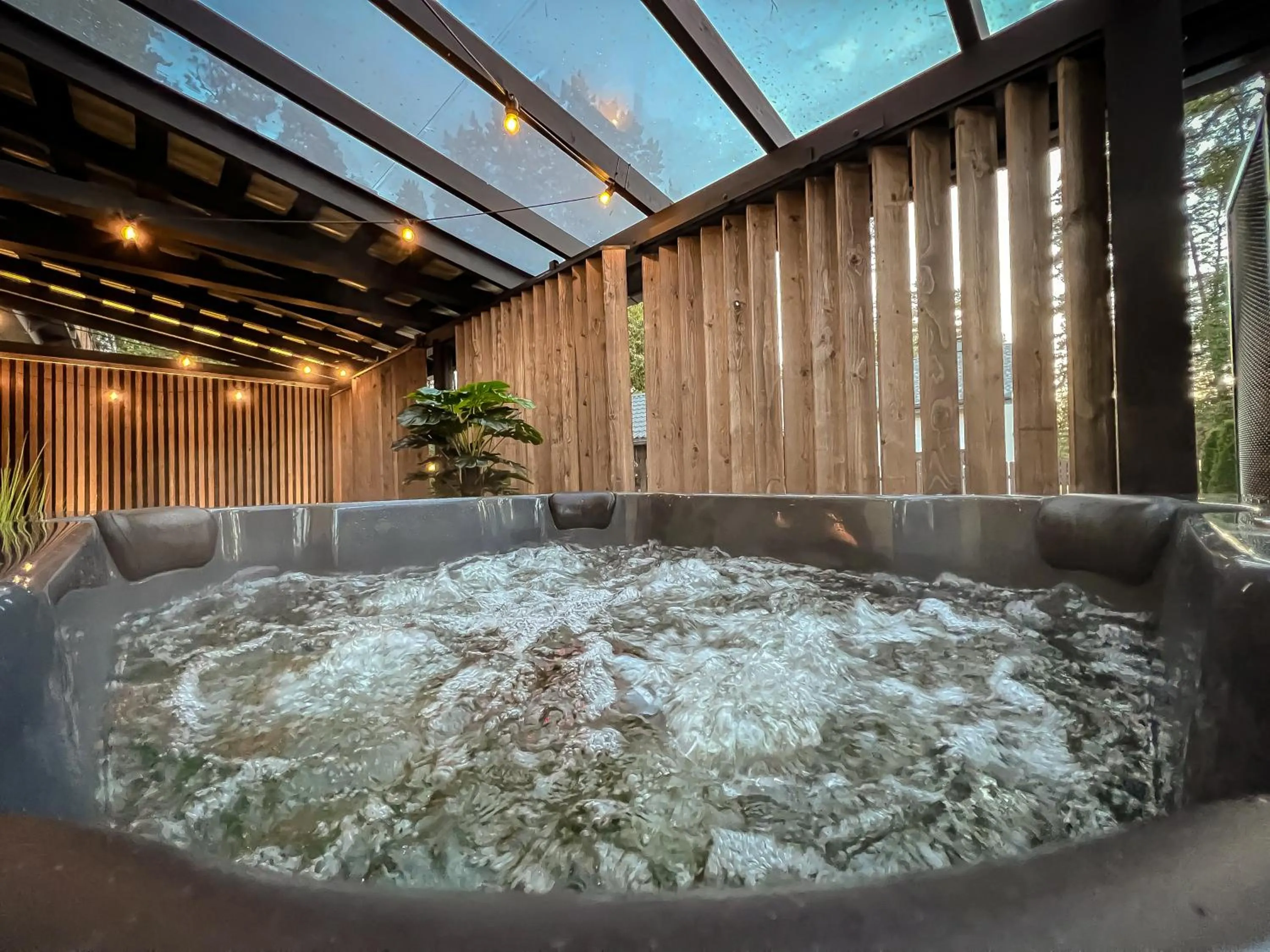 Activities in Vanaga Ligzda