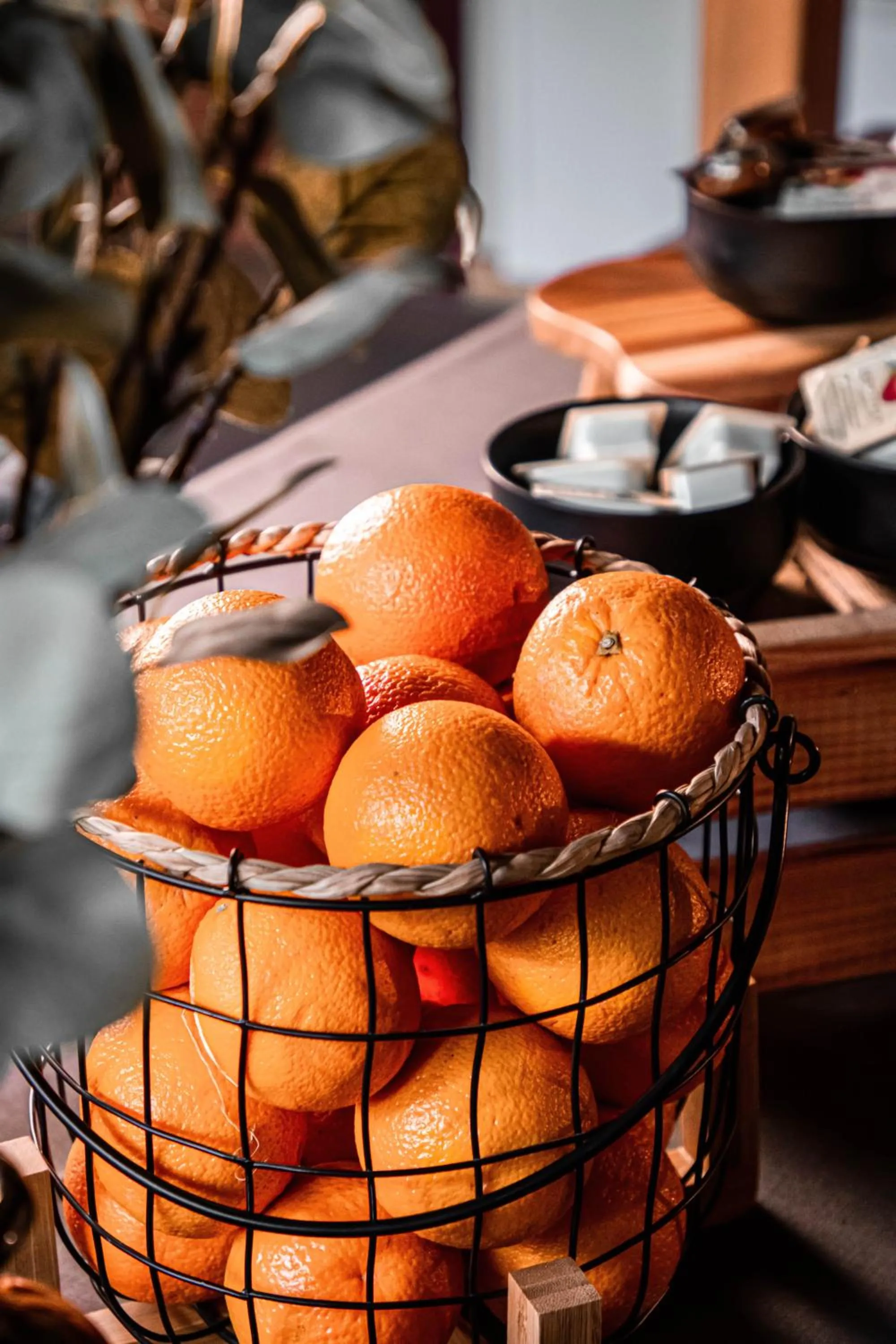 Property building in Vanaga Ligzda