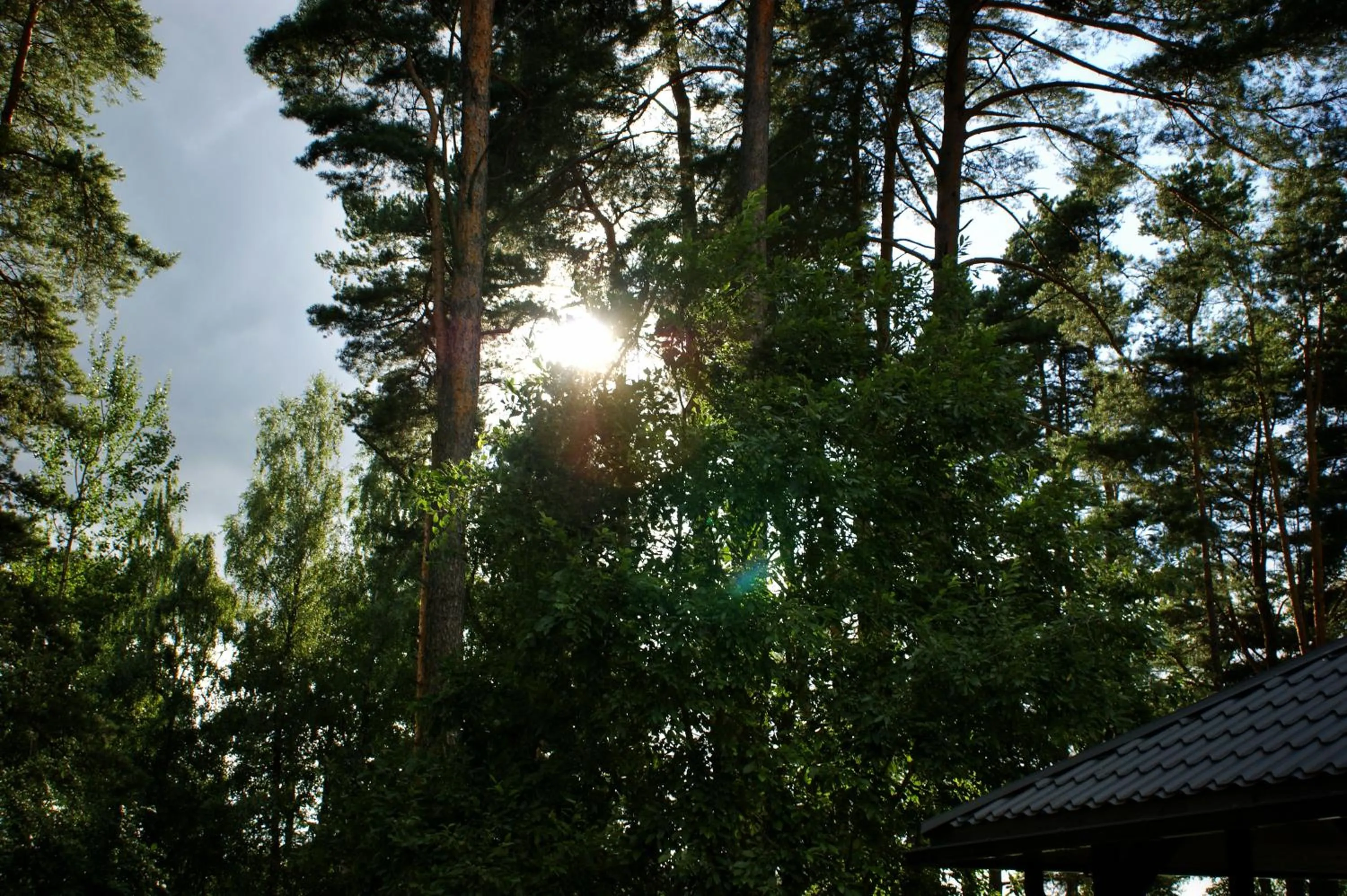 View (from property/room) in Vanaga Ligzda