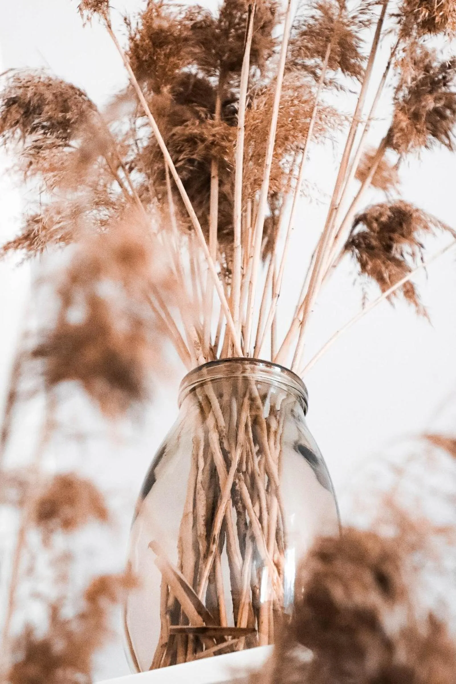 Property building in Vanaga Ligzda