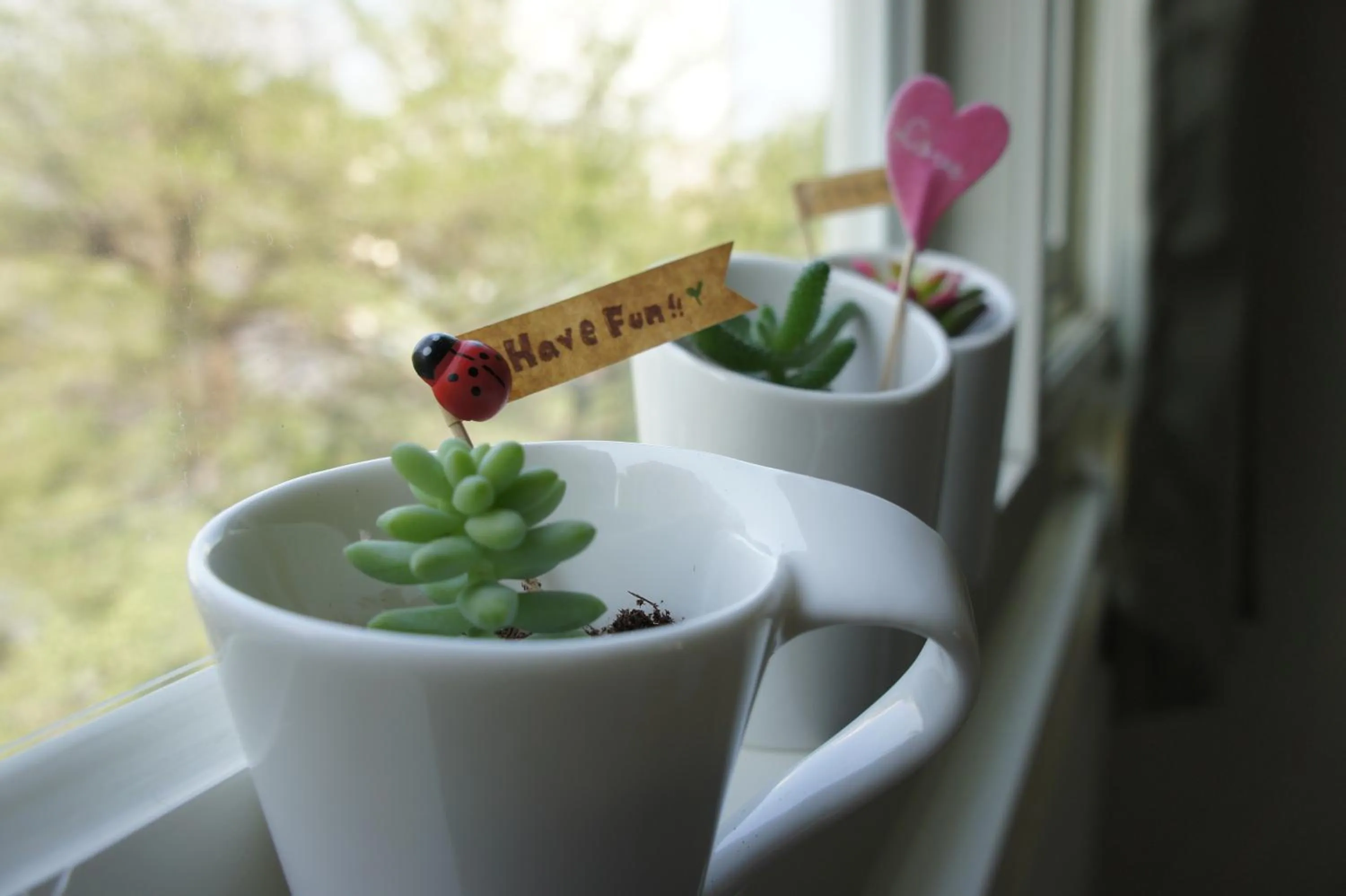 Other in Green Hotel - Fengjia