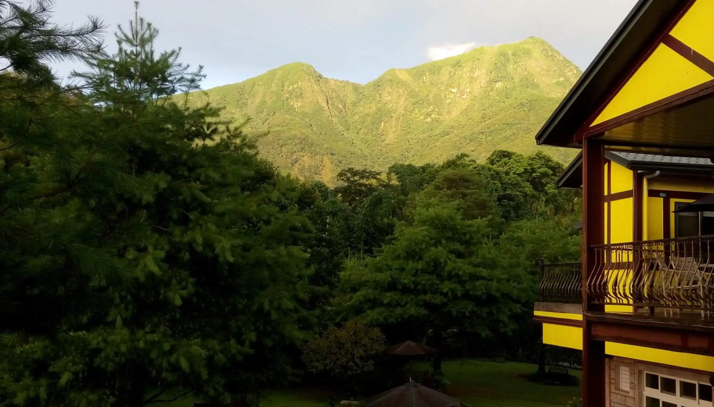 Mountain view in Sitou Peach Villa B&B
