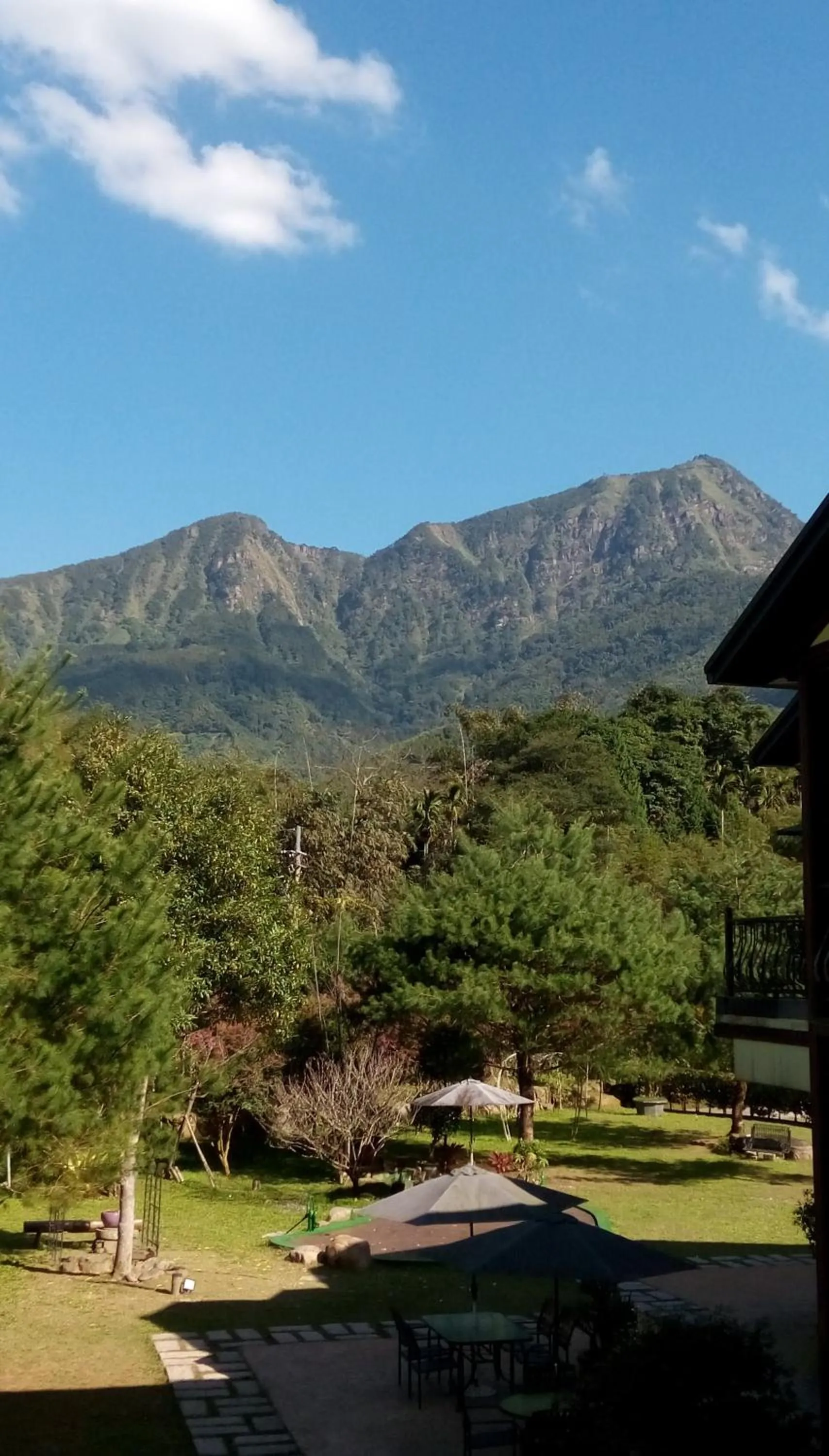 Garden in Sitou Peach Villa B&B