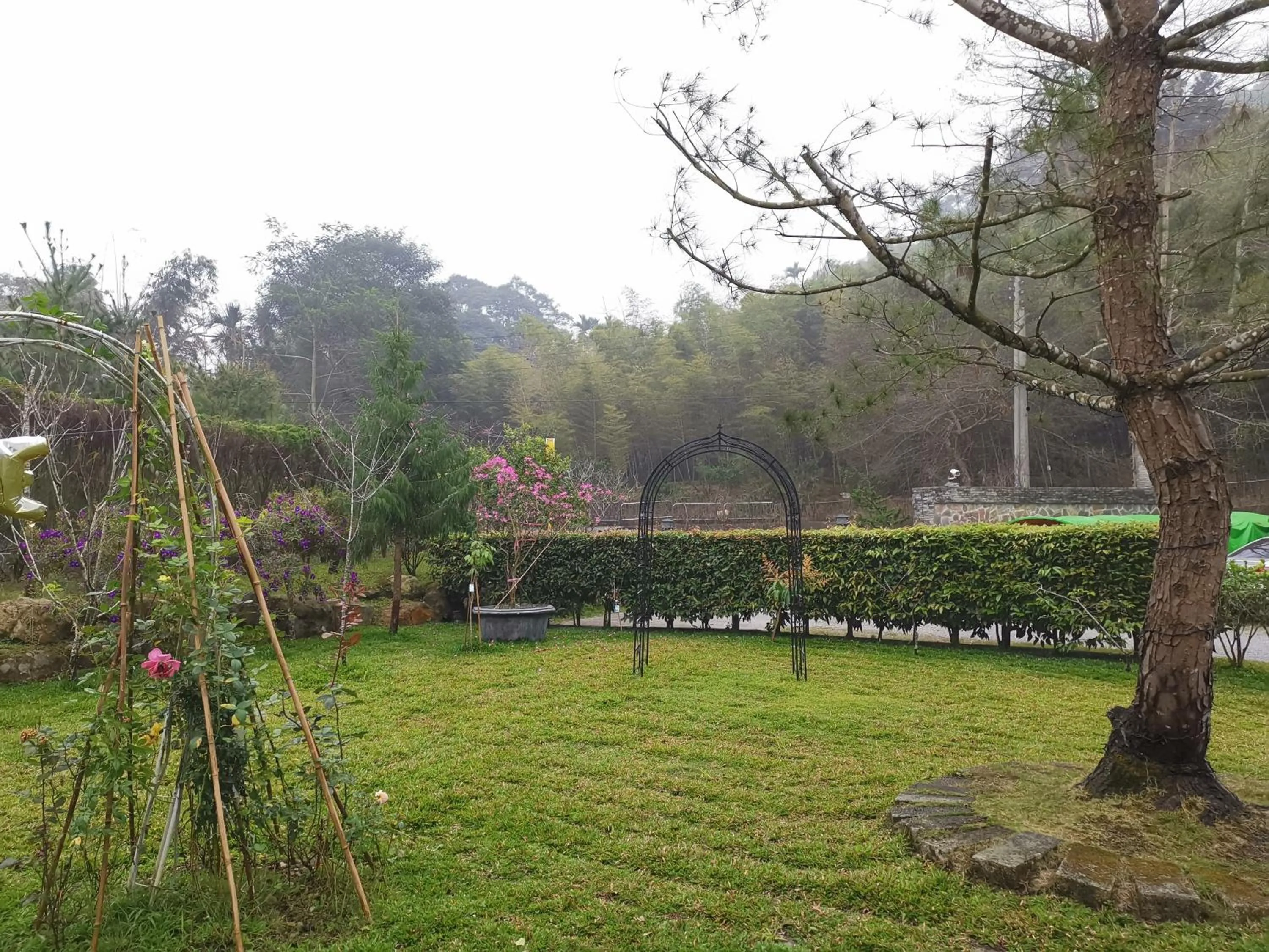 Day in Sitou Peach Villa B&B