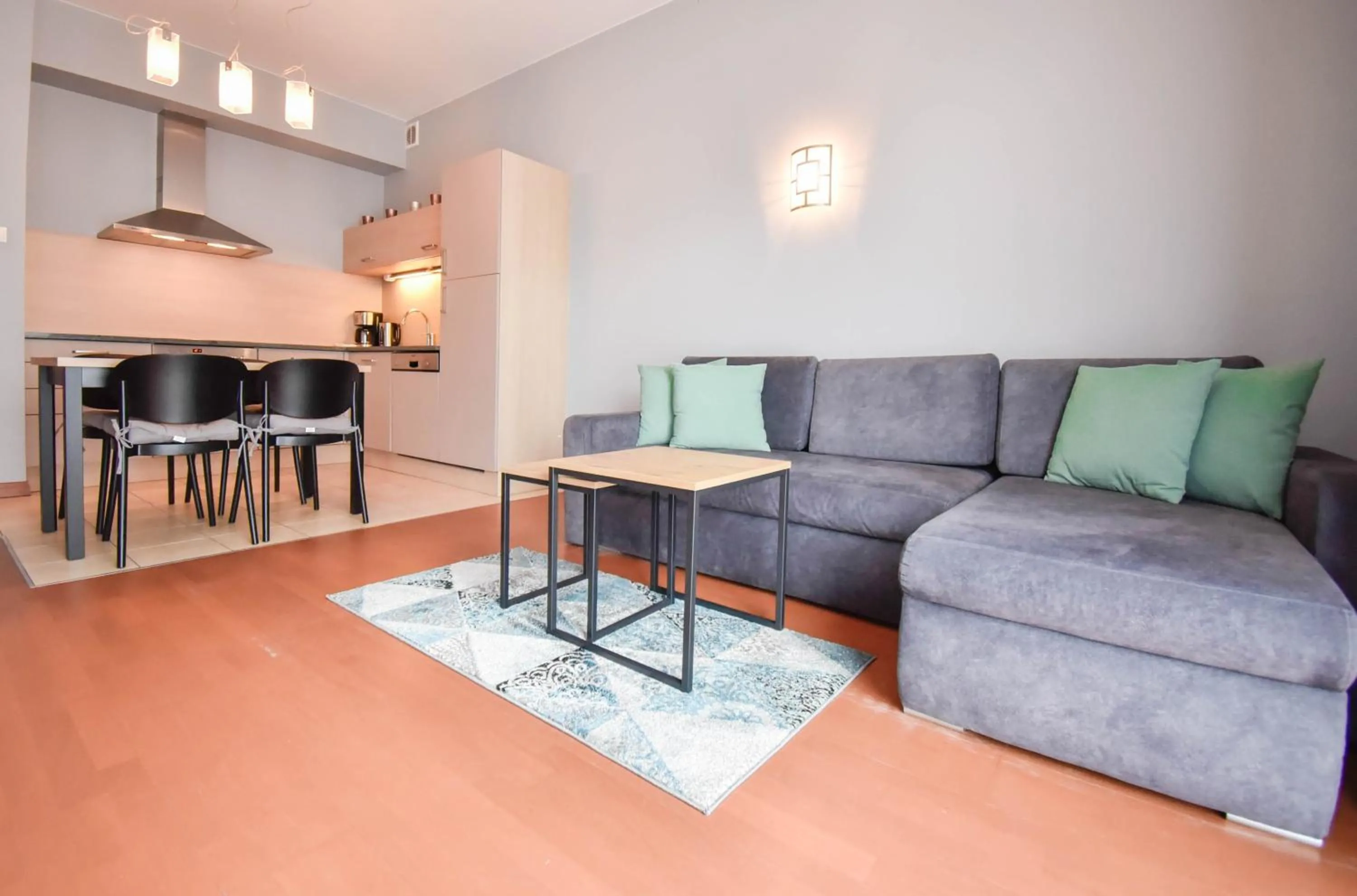 Living room in Apartamenty Na Wyspie - Baltic Park - Apartamenty z sypialnią i parkingiem - ul Uzdrowiskowa 24-34