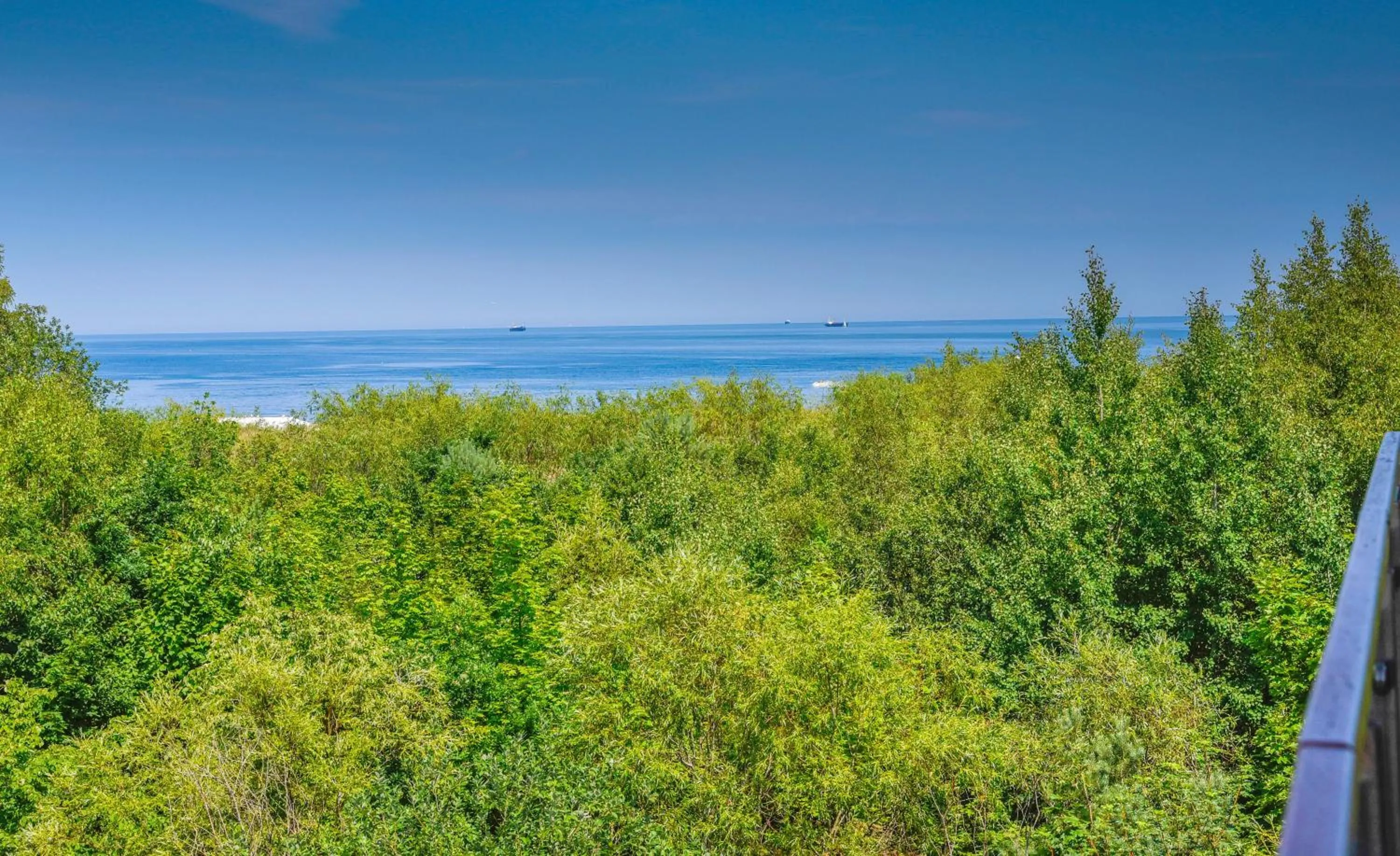 Natural landscape in Apartamenty Na Wyspie - Baltic Park - Apartamenty z sypialnią i parkingiem - ul Uzdrowiskowa 24-34