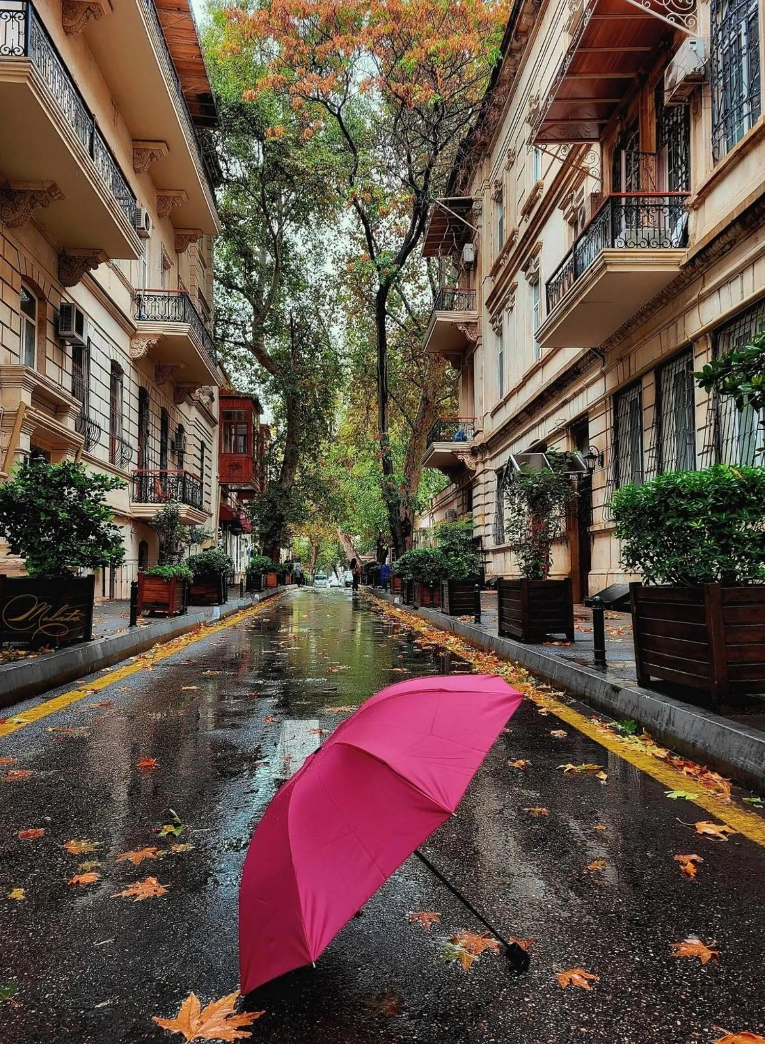 Neighbourhood in R Studios Old Baku