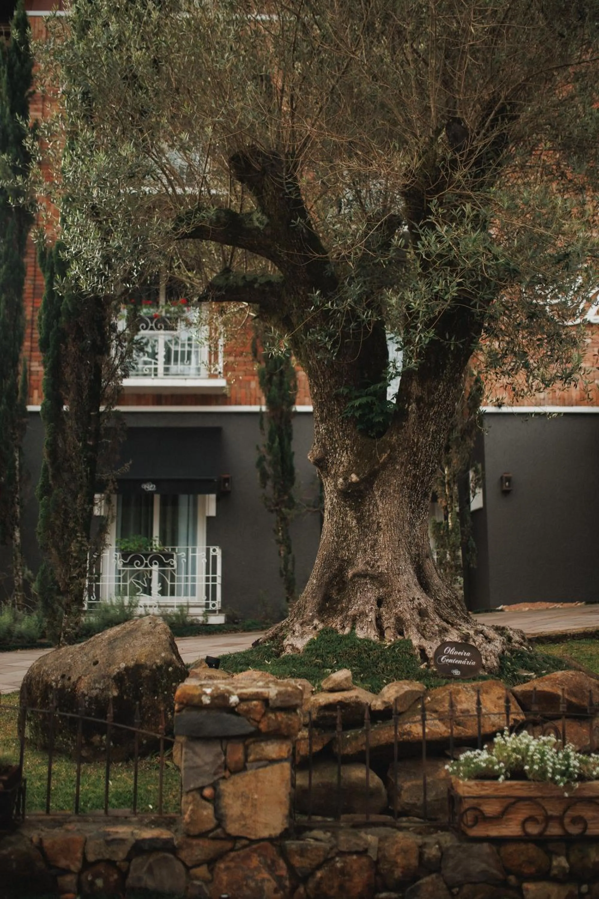 Facade/entrance in Hotel Valle Dincanto
