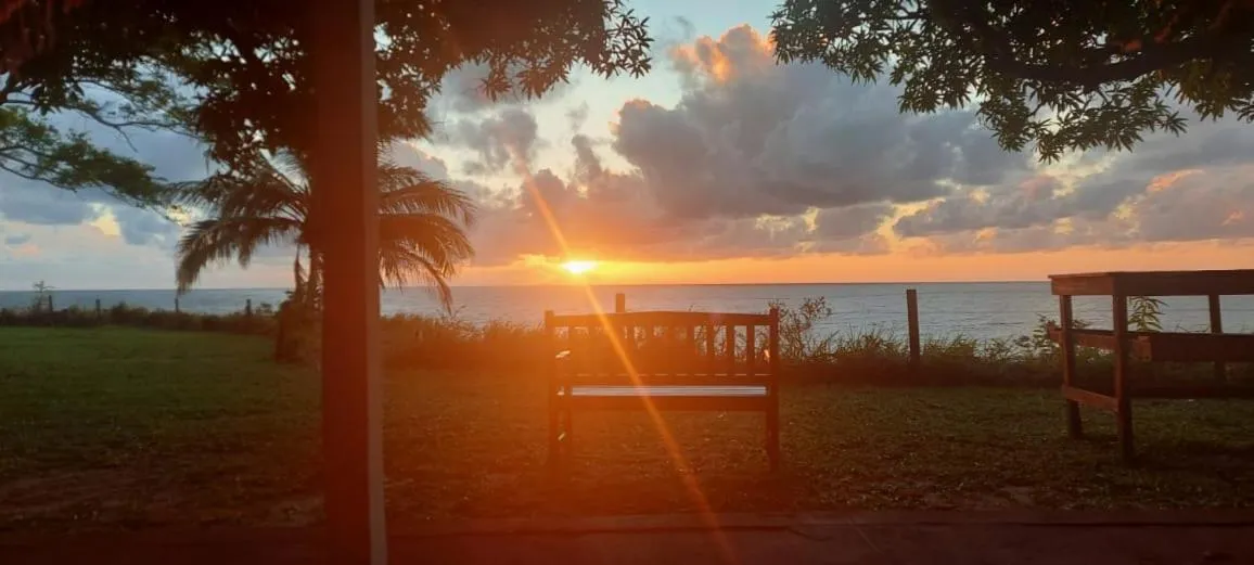 Natural landscape in Pousada Bosque dos Aruãs