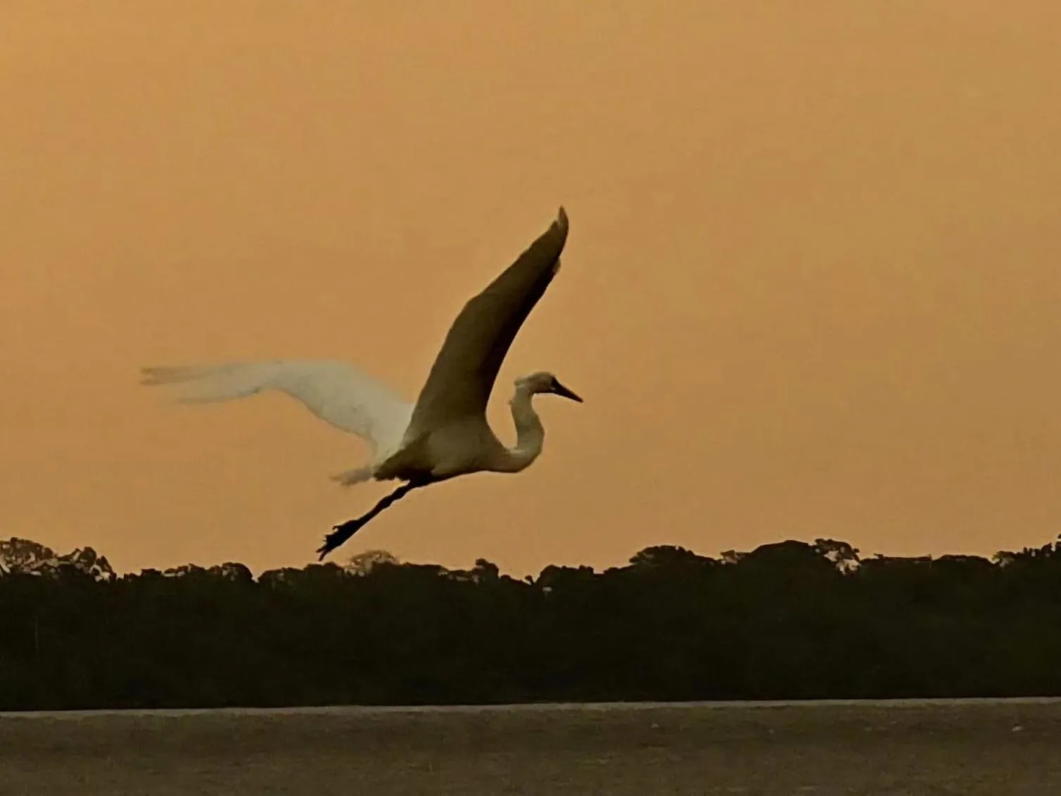 Pousada Bosque dos Aruãs