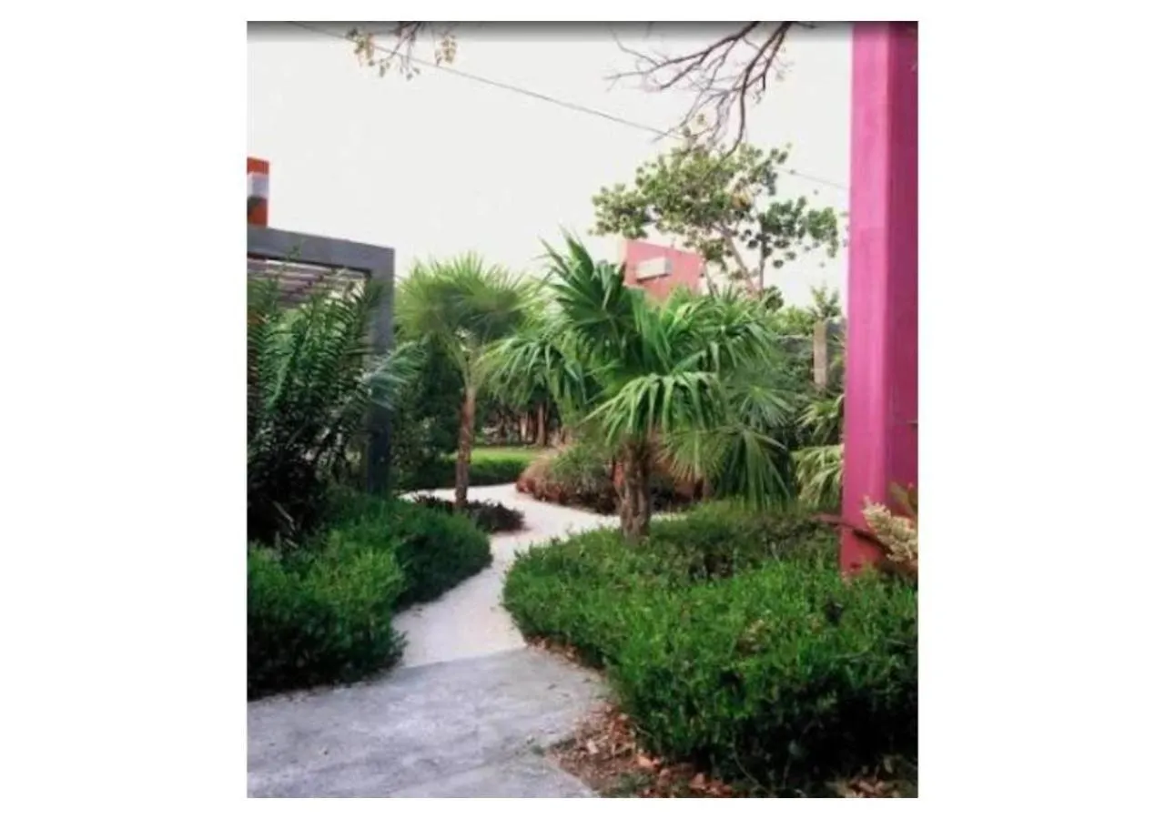 Natural landscape in Casa Morada