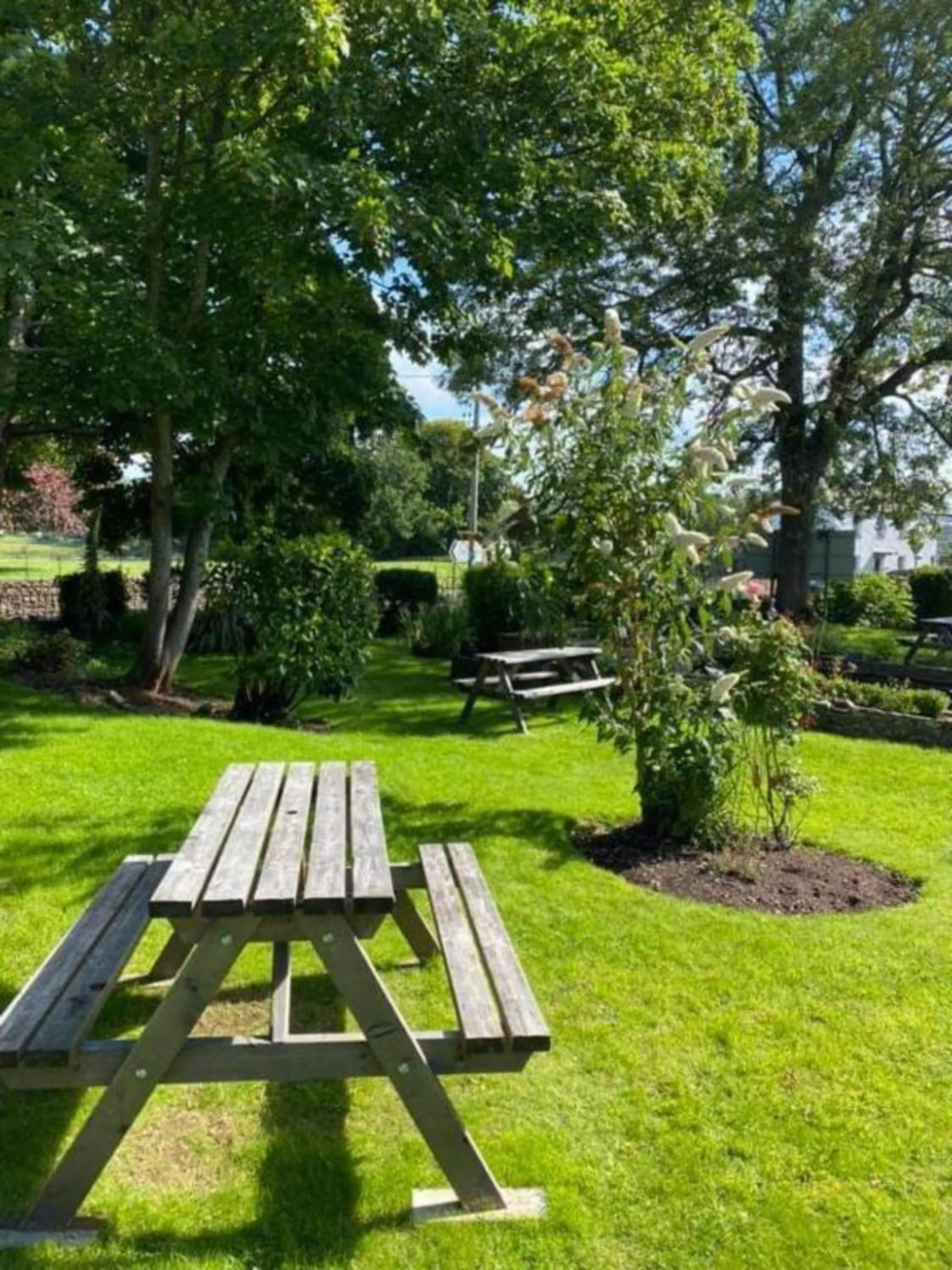 Garden in OYO Lamphey Hall