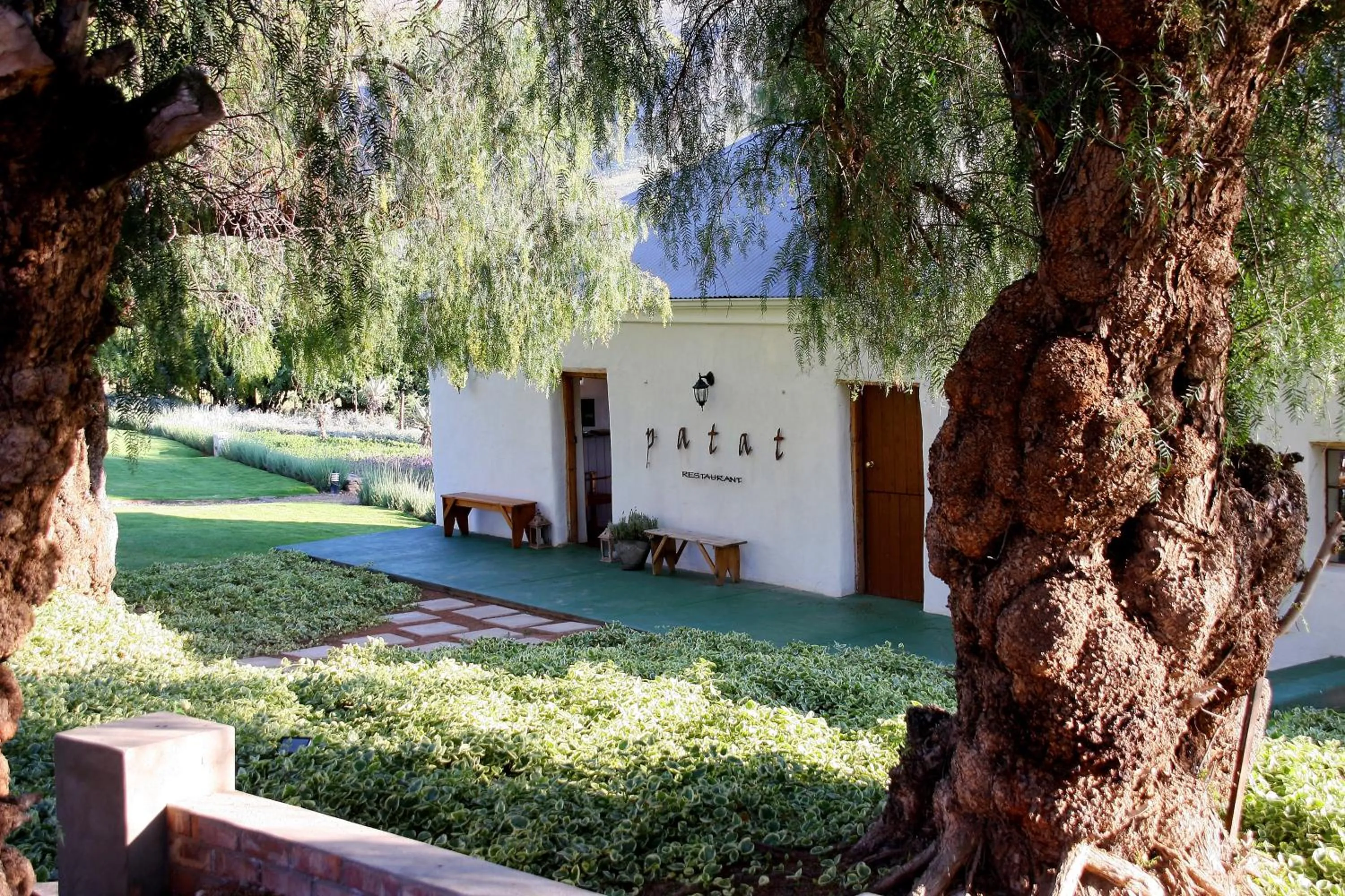 Restaurant/places to eat in Swartberg Country Manor