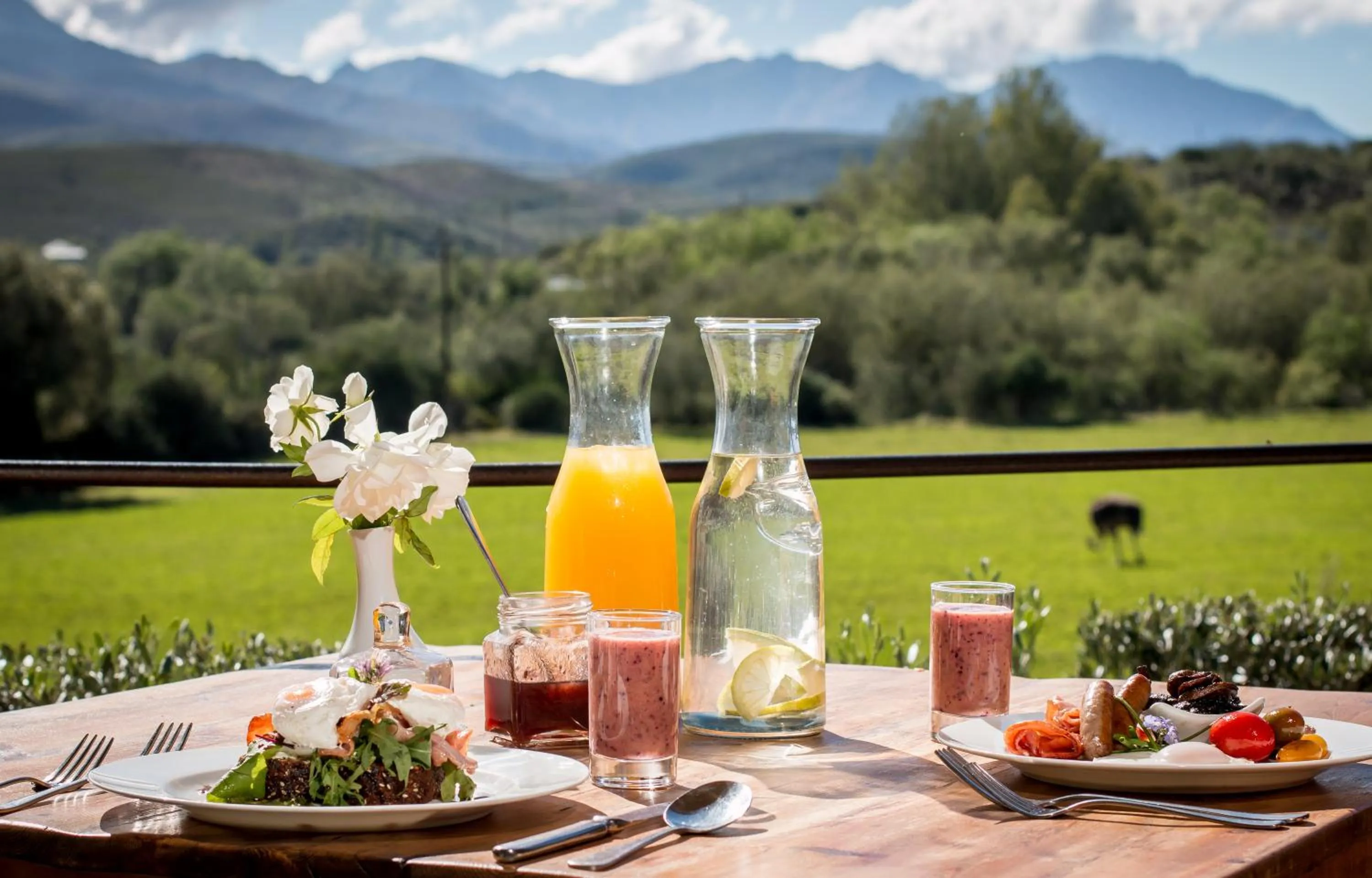 Breakfast in Swartberg Country Manor