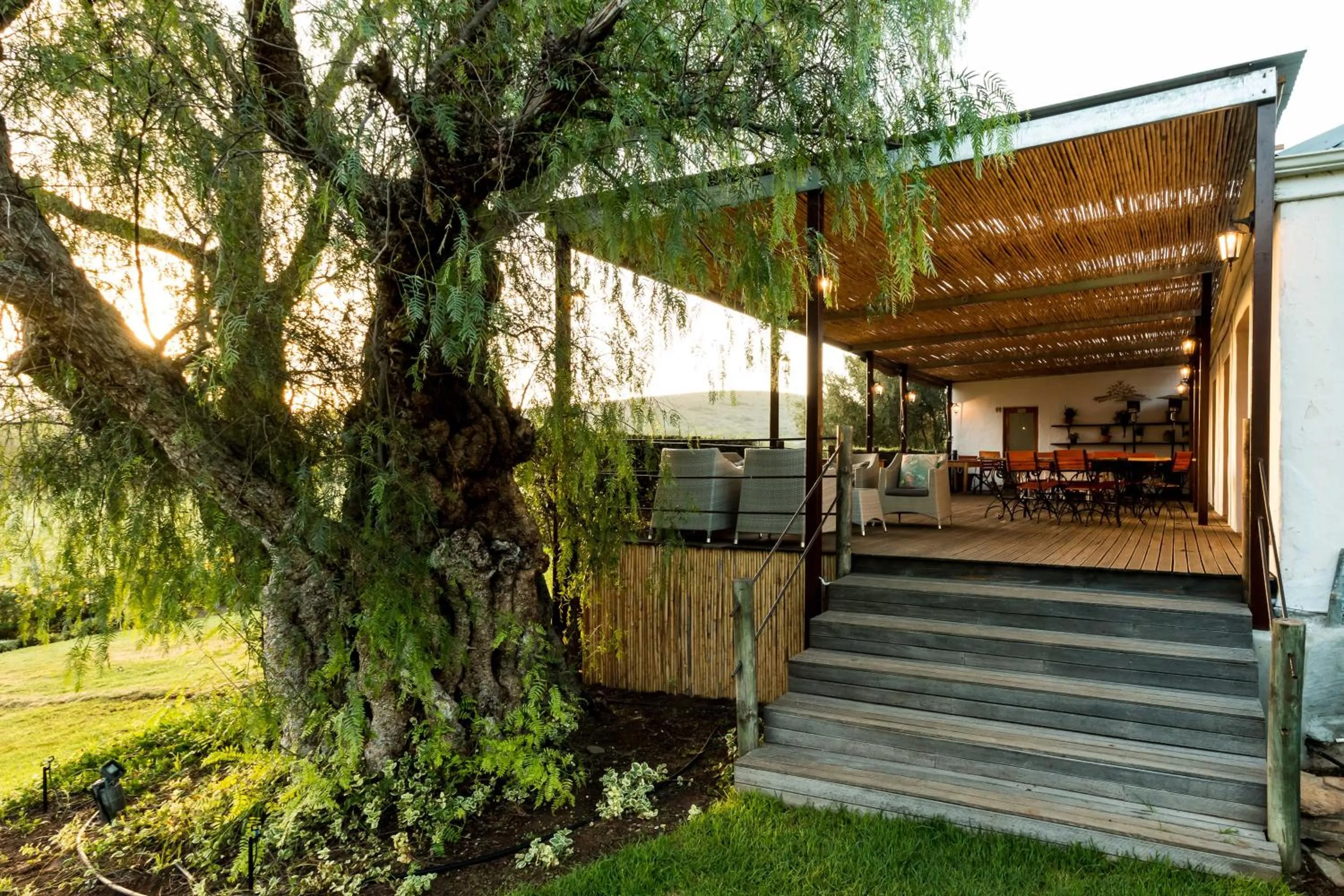 Restaurant/places to eat in Swartberg Country Manor