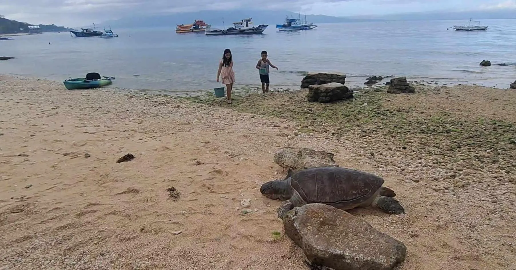 Fins Pacific Coray Bay by Hiverooms