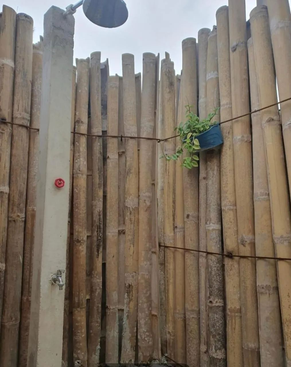 Fins Pacific Coray Bay by Hiverooms