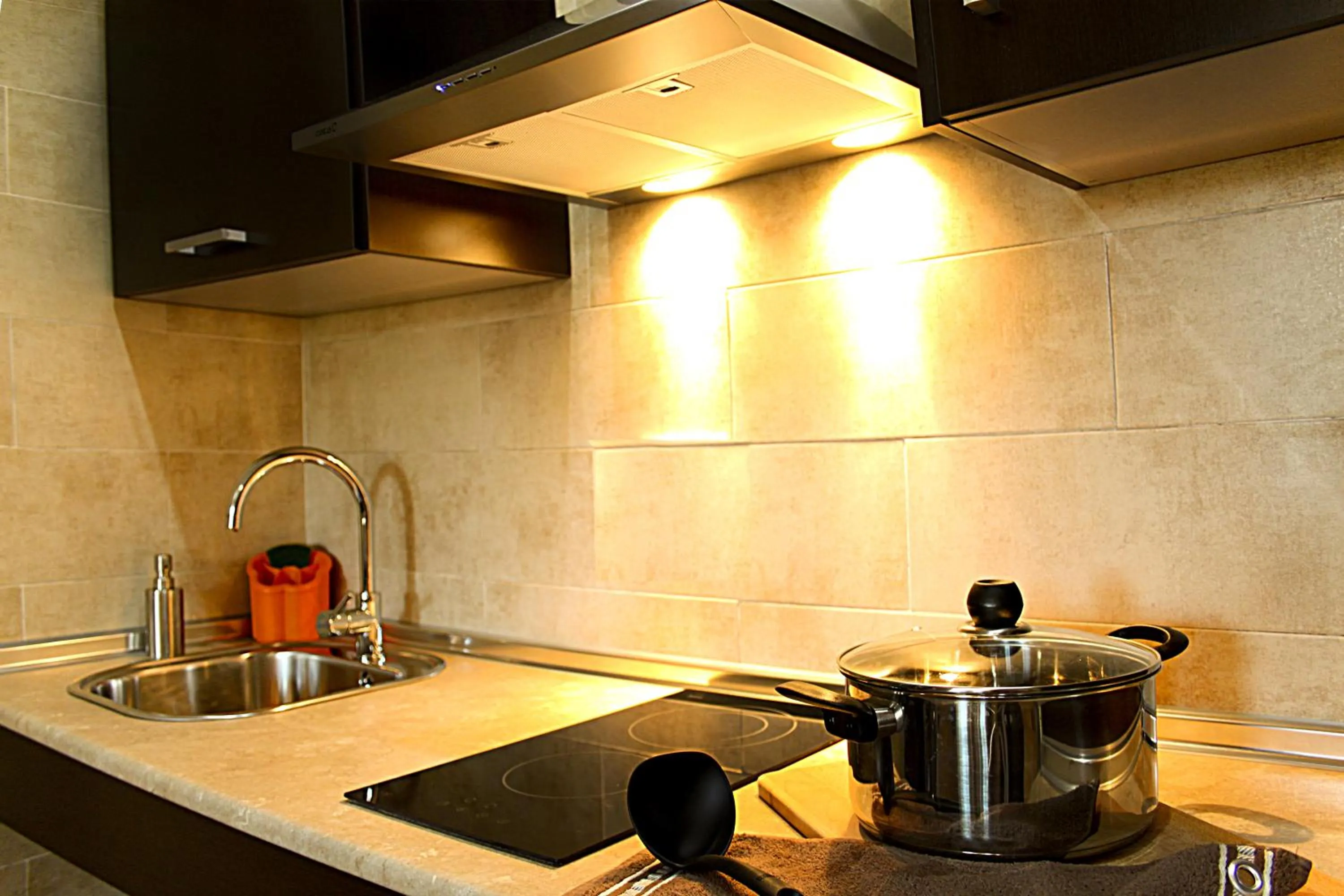 Kitchen or kitchenette in Apartamentos Turísticos Cúllar Vega