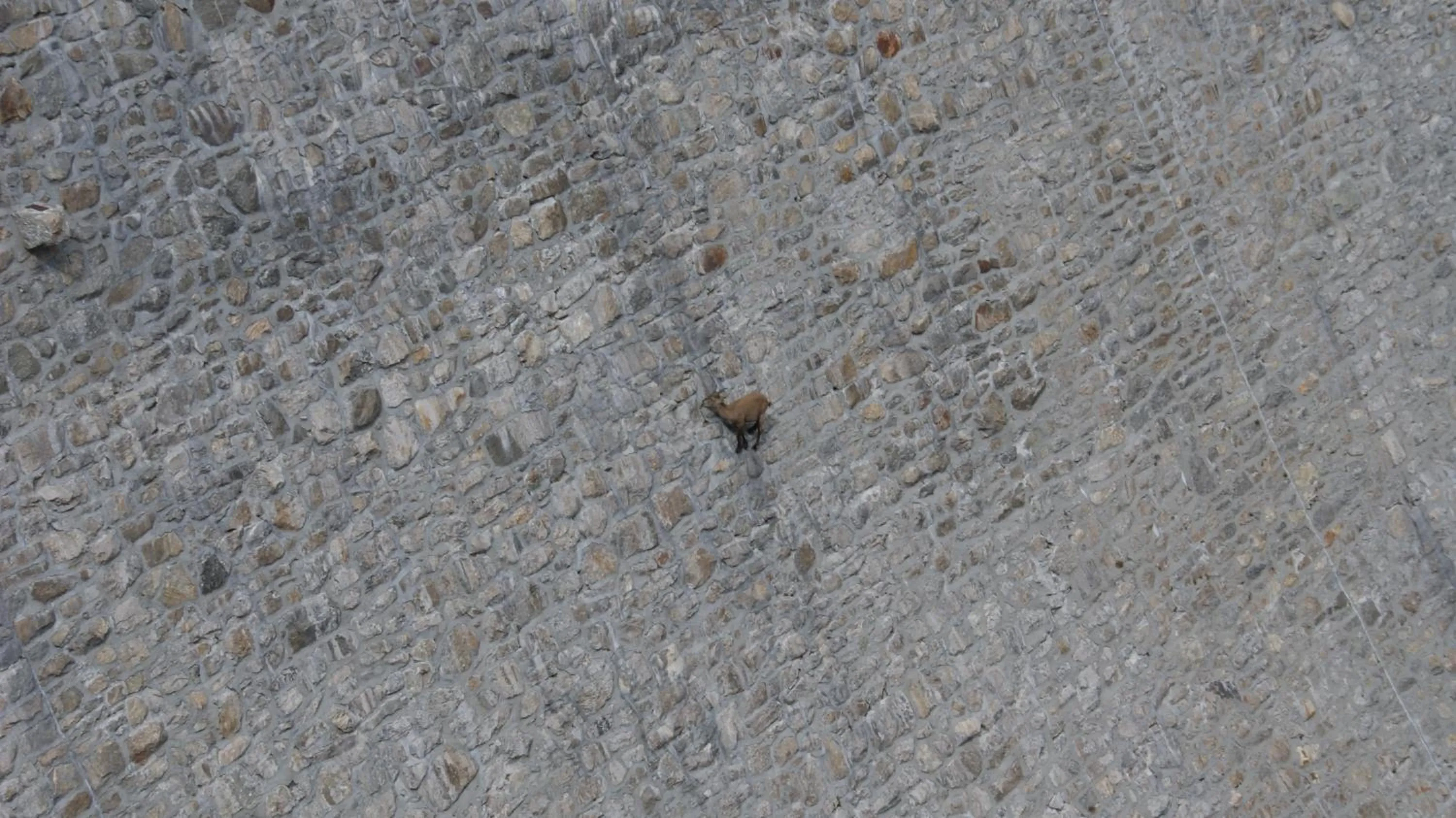 Activities in B&B Dove Comincia la Bella Italia