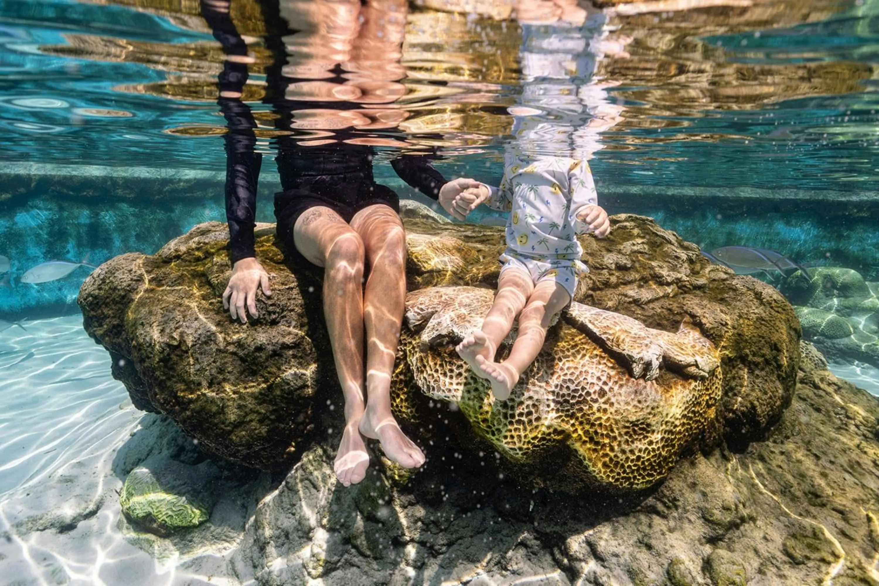 Other in The St. Regis Longboat Key Resort