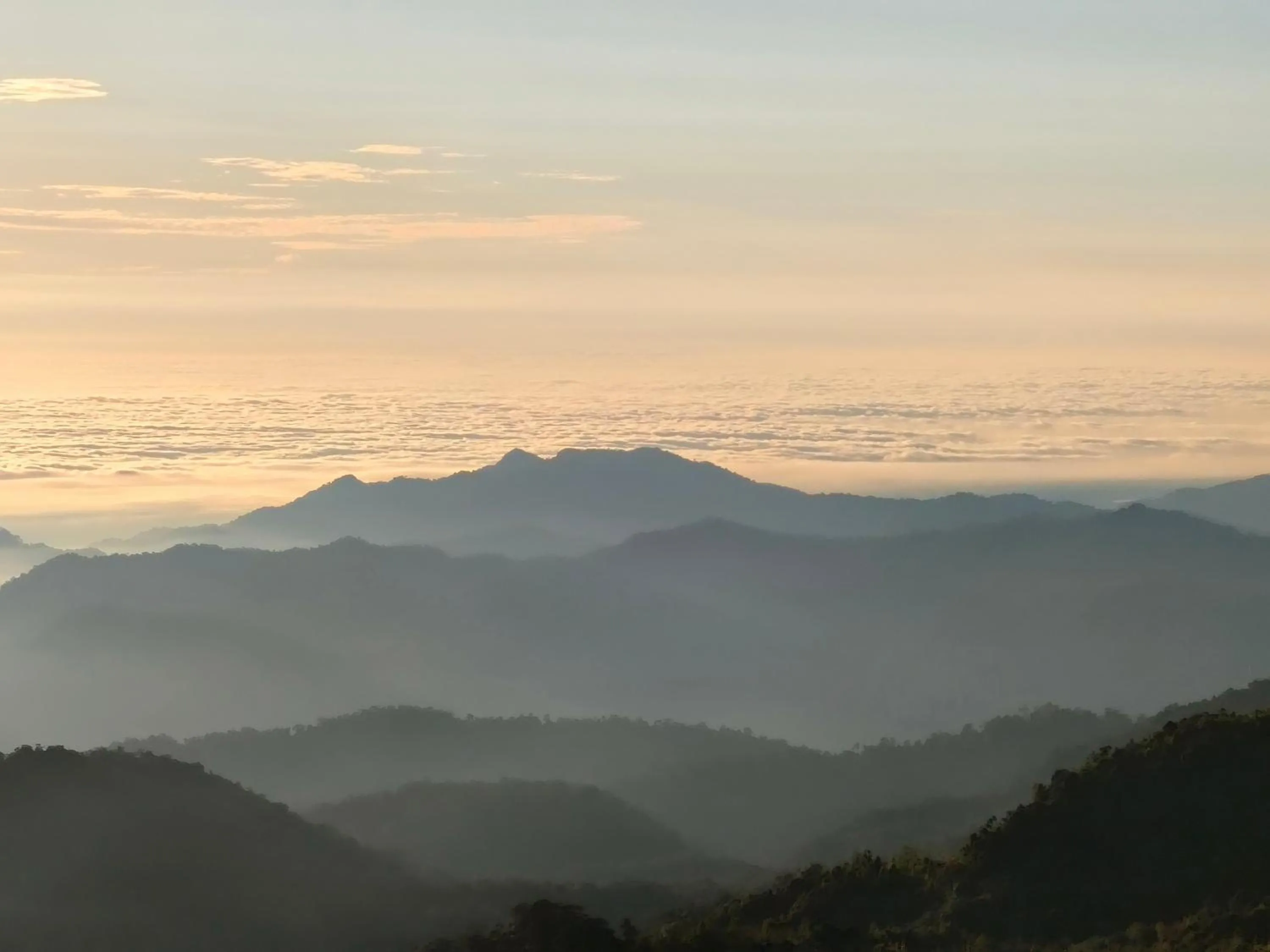 Emerald Homes Cozy Homestay at Ion Delemen Genting Highlands