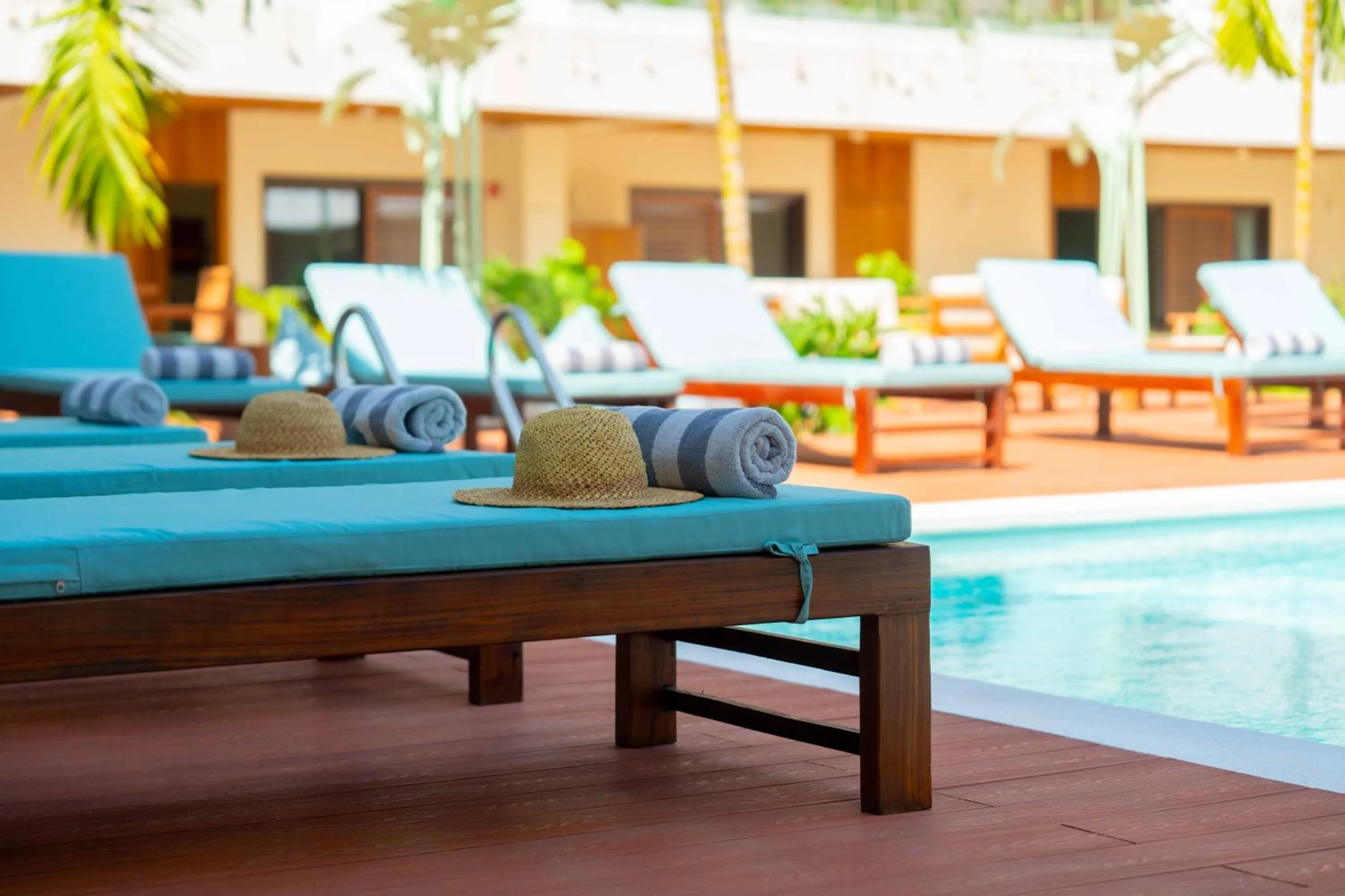 Pool view in Samawa Living