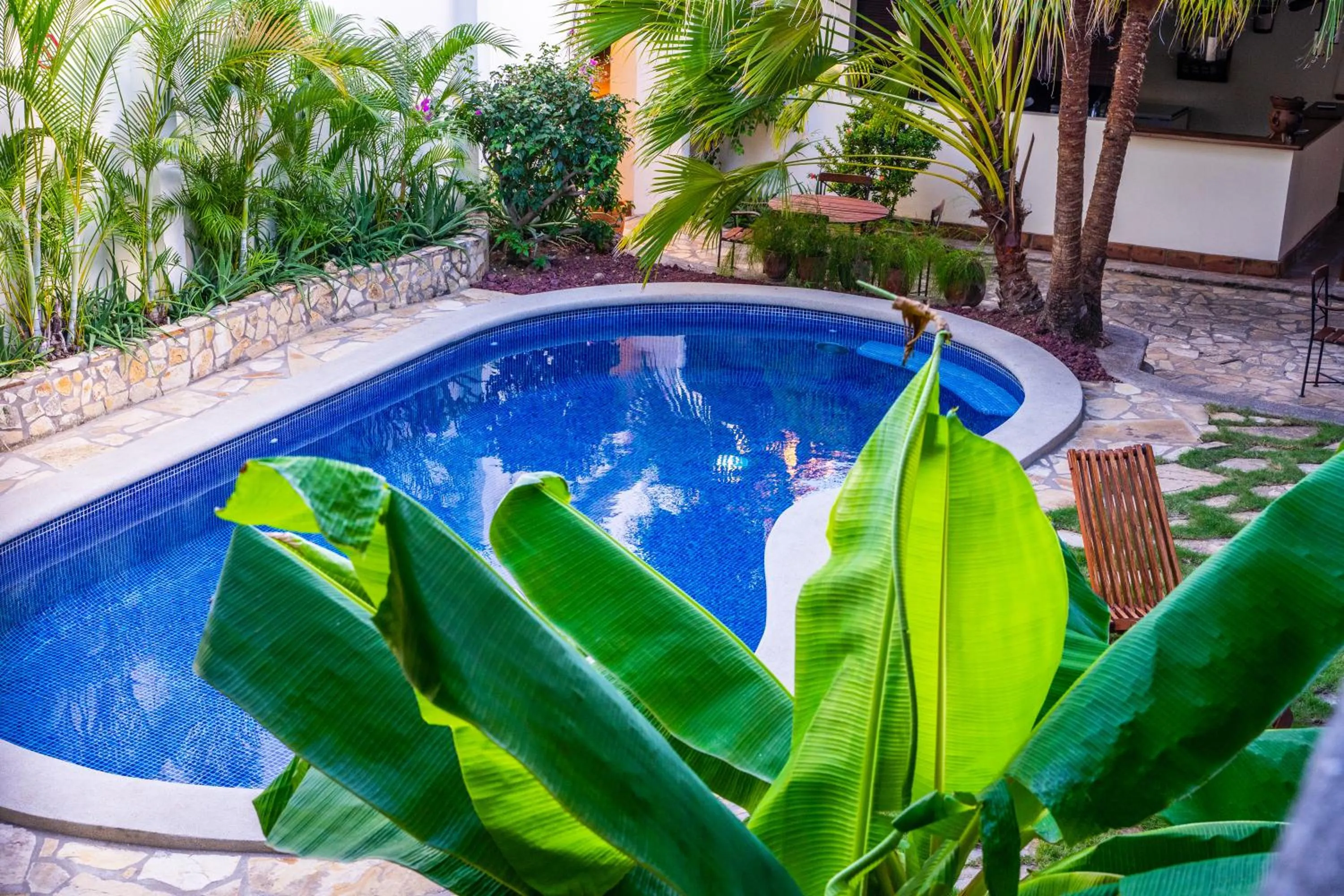 Pool view in Hotel Patio del Malinche