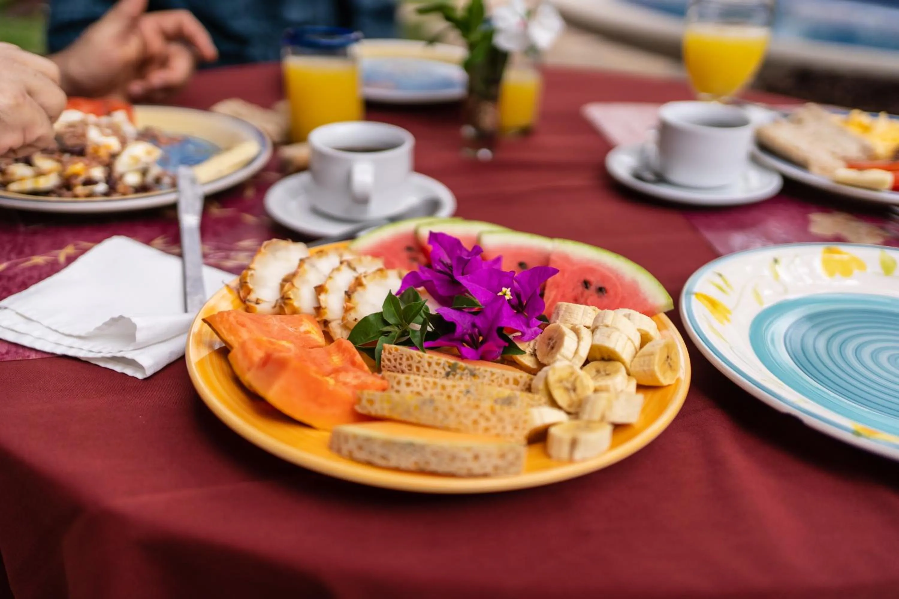 Food and drinks in Hotel Patio del Malinche