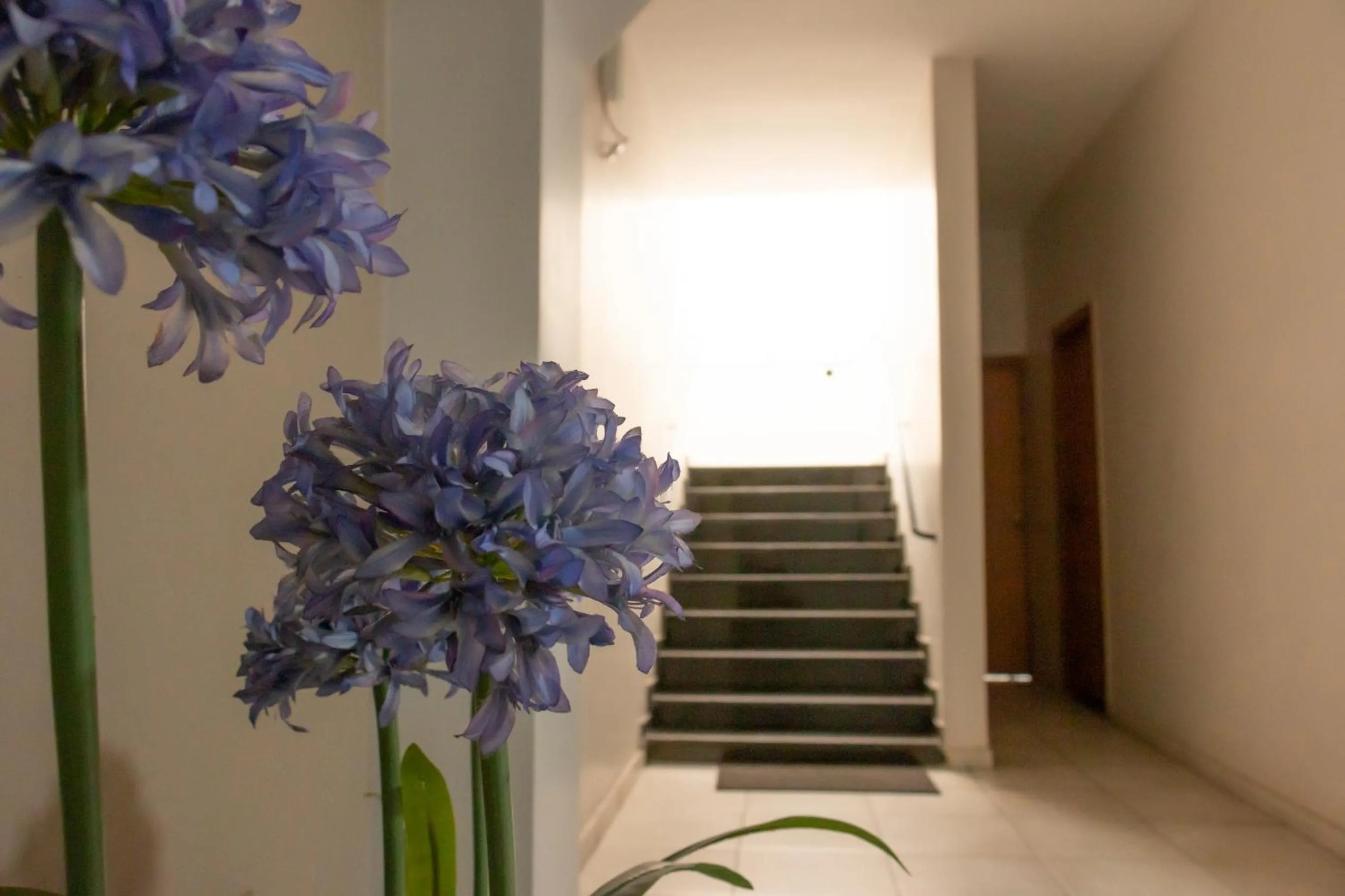 Area and facilities in Contagem Centro Hotel