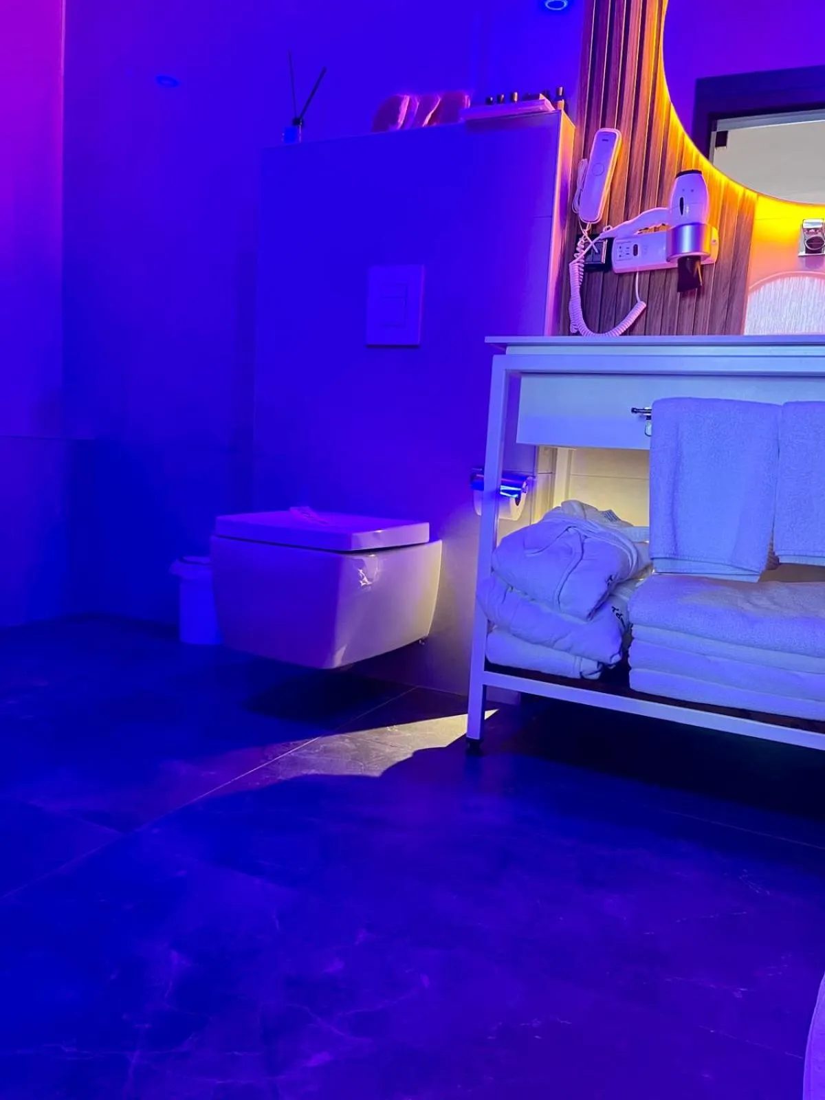 Toilet, Bed in TELMESSOS CİTY HOTEL- Adults Only