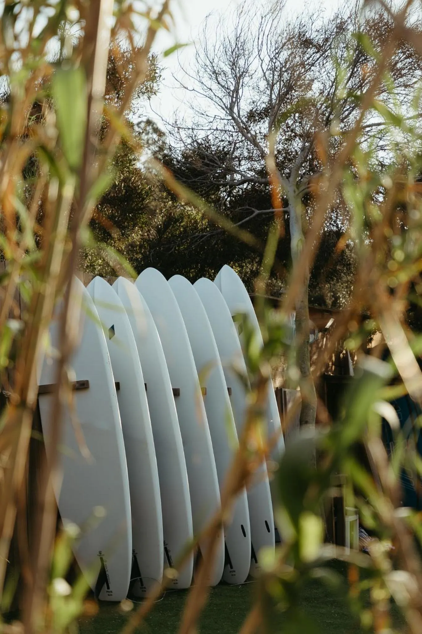 Activities in Le Domaine de la mer - Beach hotel Nature&Authenticité Hyères