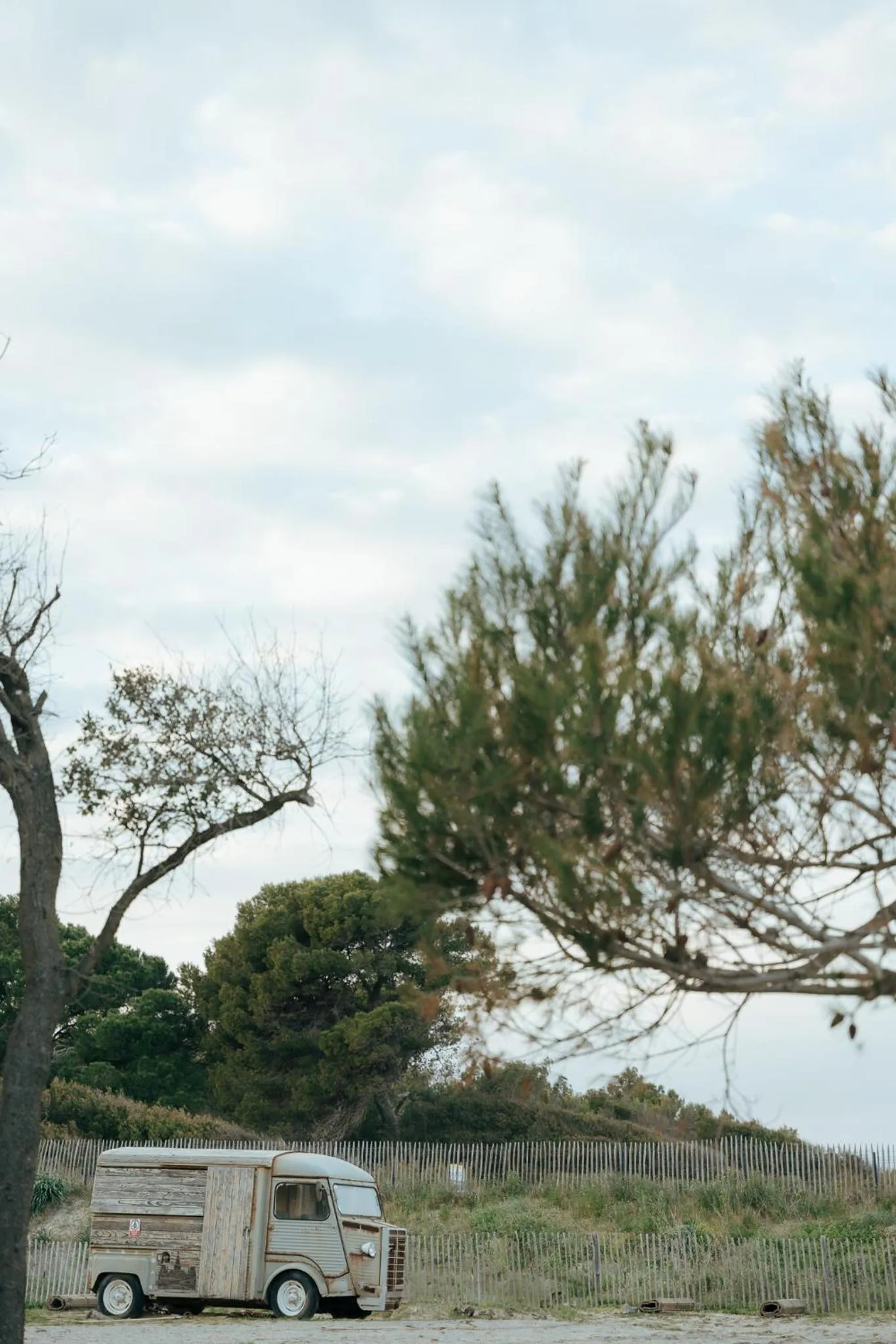 Natural landscape in Le Domaine de la mer - Beach hotel Nature&Authenticité Hyères