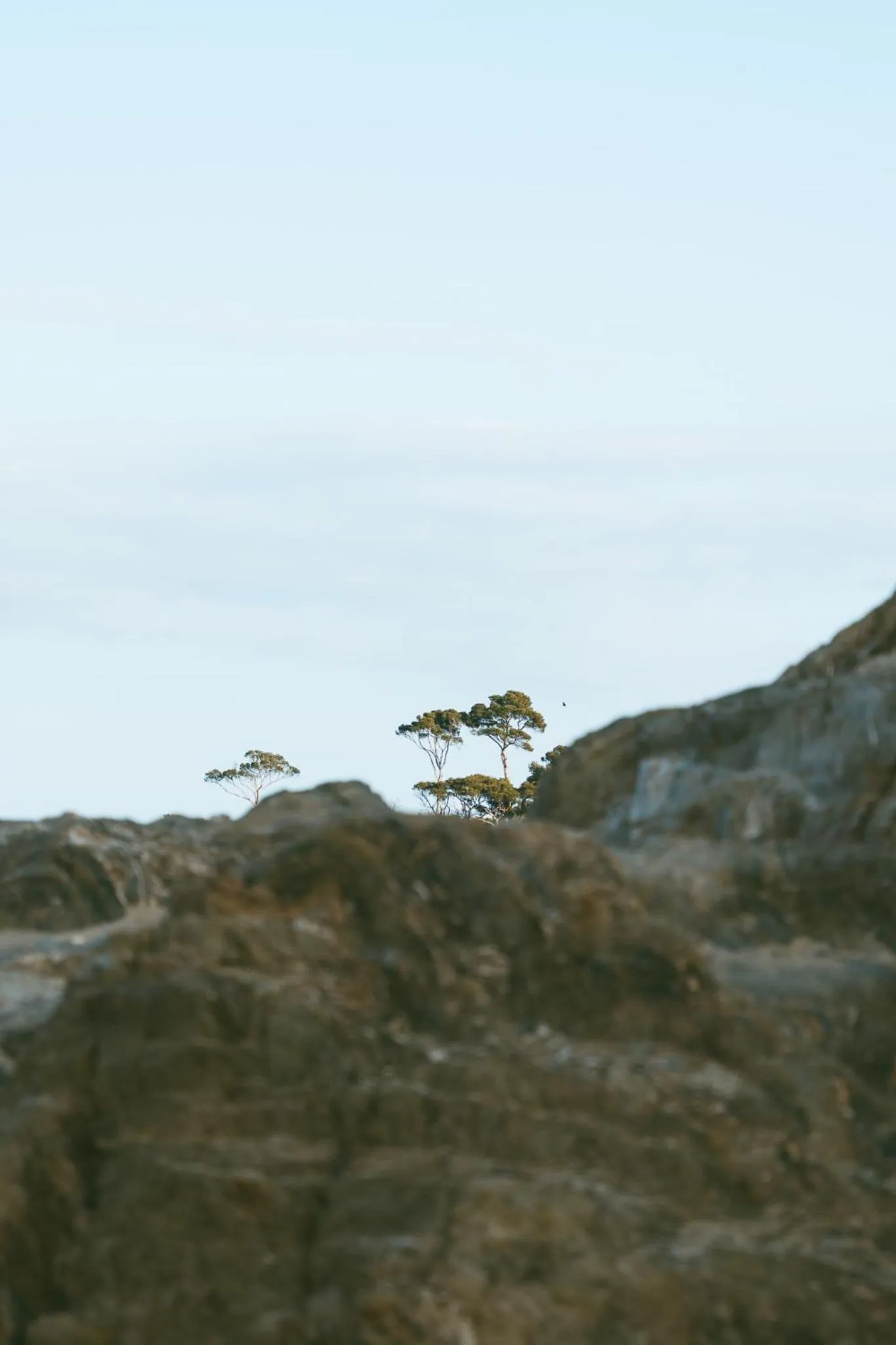 Natural landscape in Le Domaine de la mer - Beach hotel Nature&Authenticité Hyères