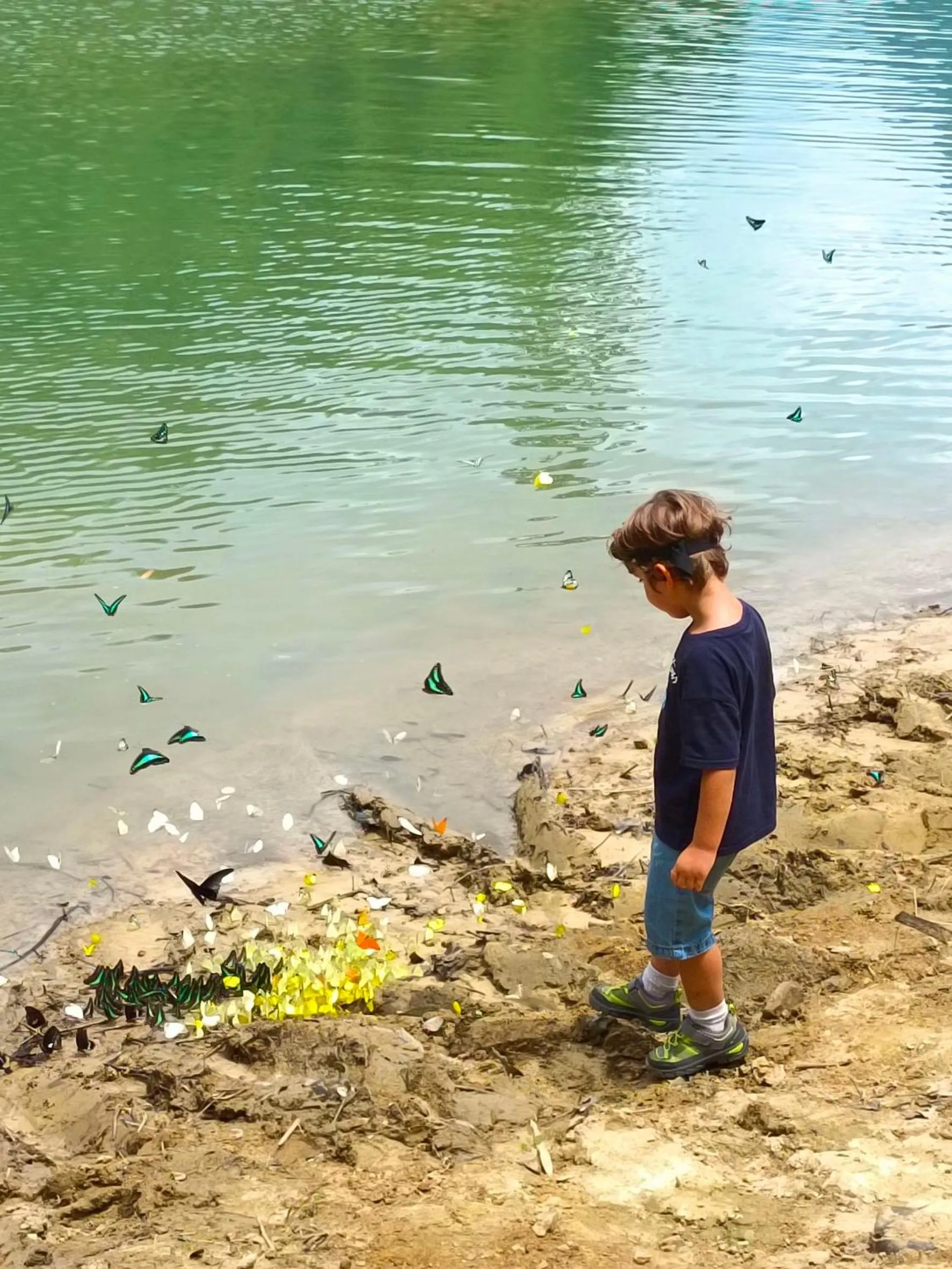 Activities in Khao Sok Country Resort