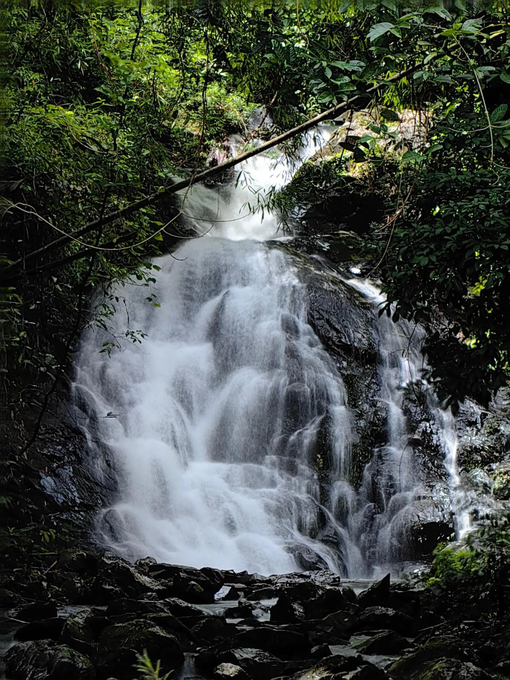 Nearby landmark in Khao Sok Country Resort