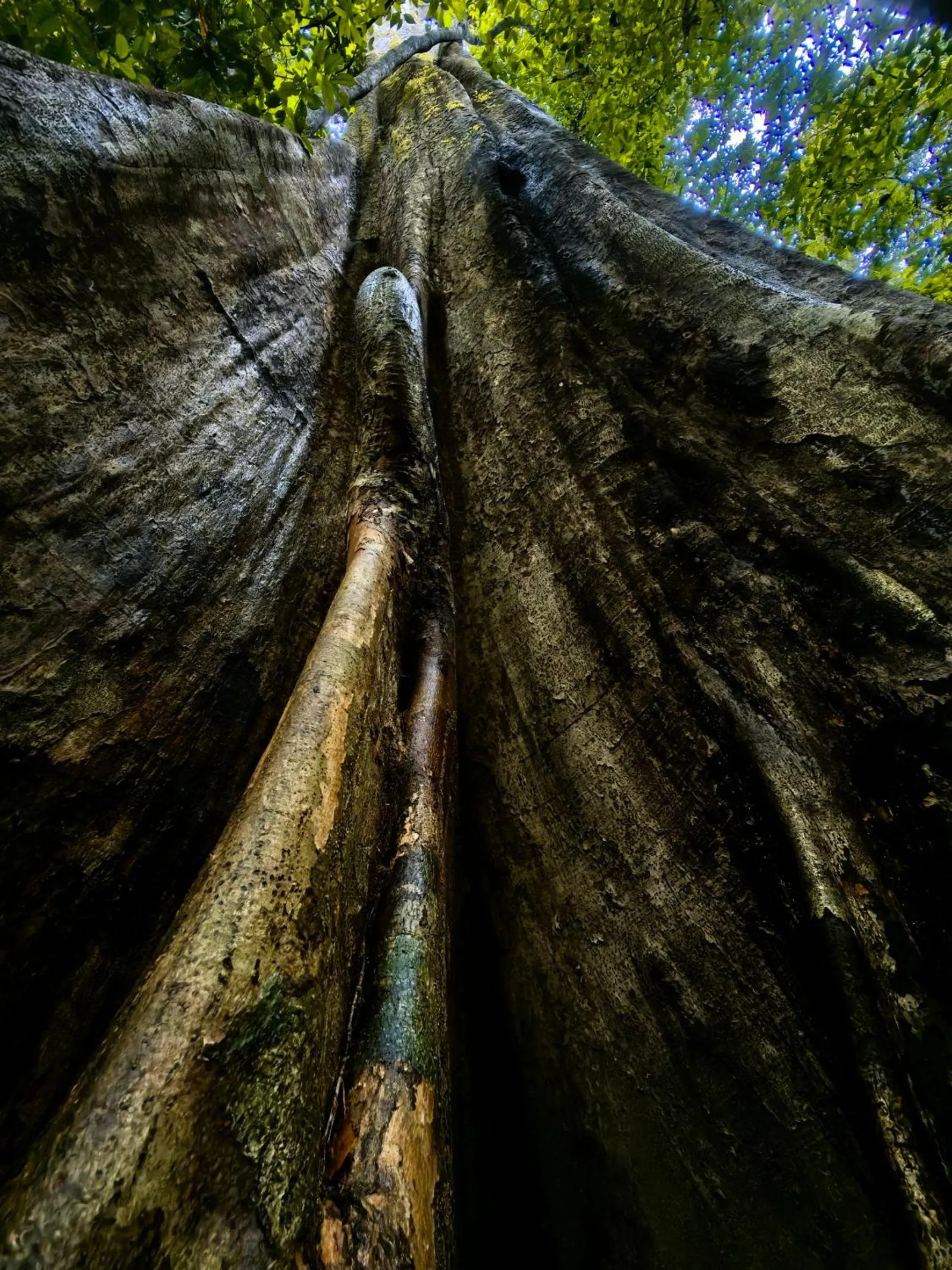 Natural landscape in Khao Sok Country Resort