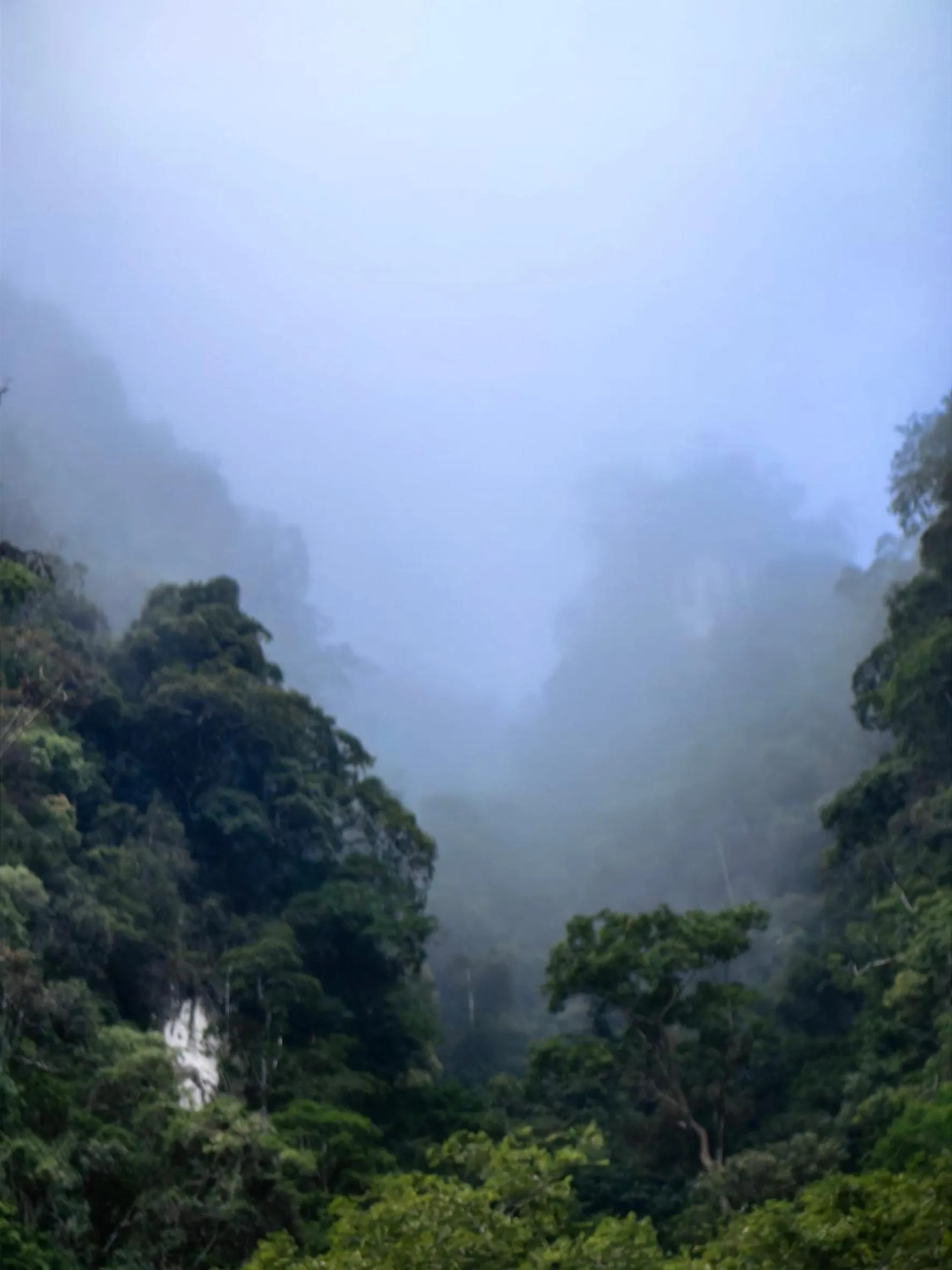 Natural landscape in Khao Sok Country Resort
