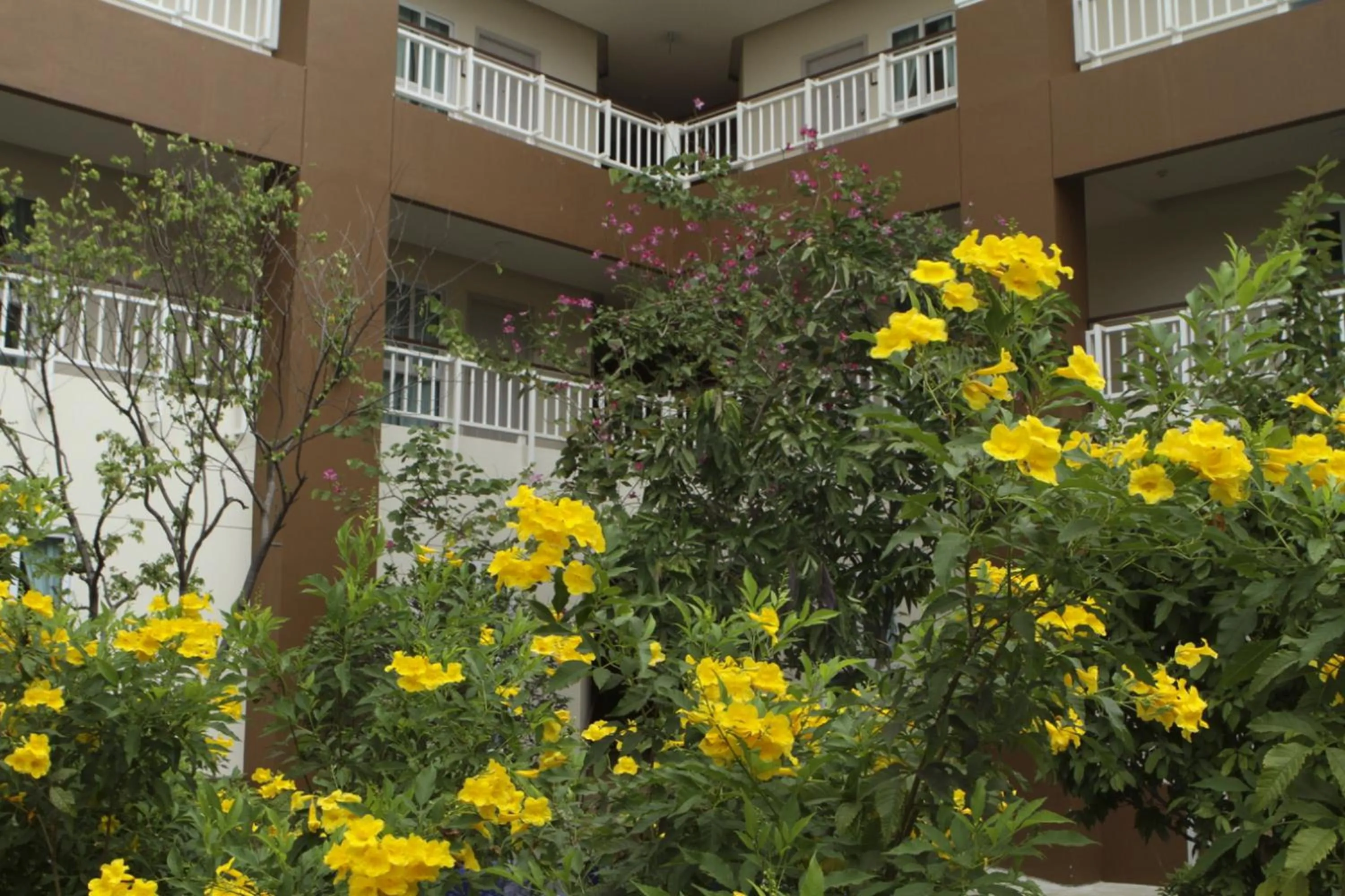Garden view in U Tiny Boutique Hotel Suvarnabhumi Bangkok - SHA Plus