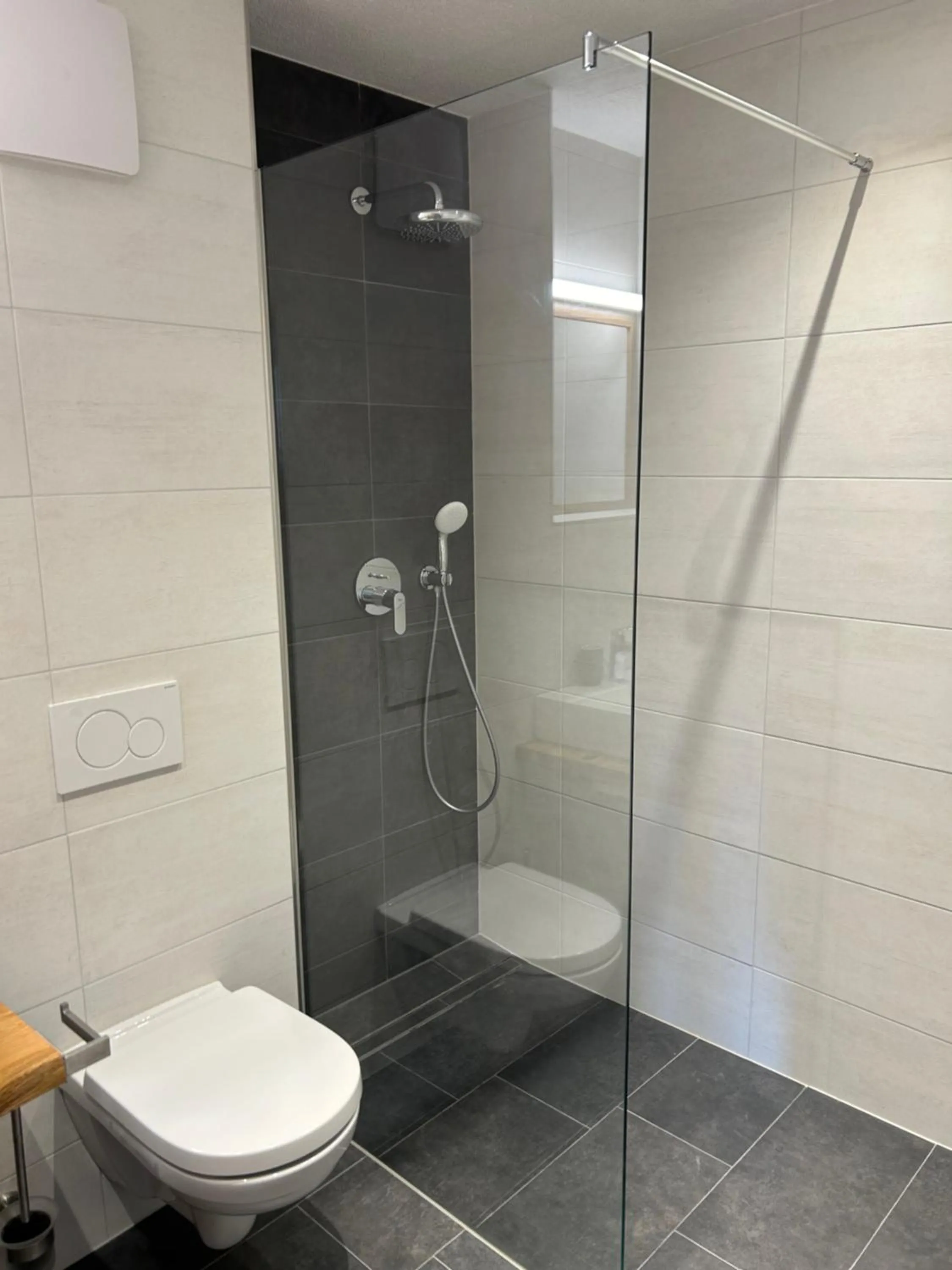 Shower in Apart 14