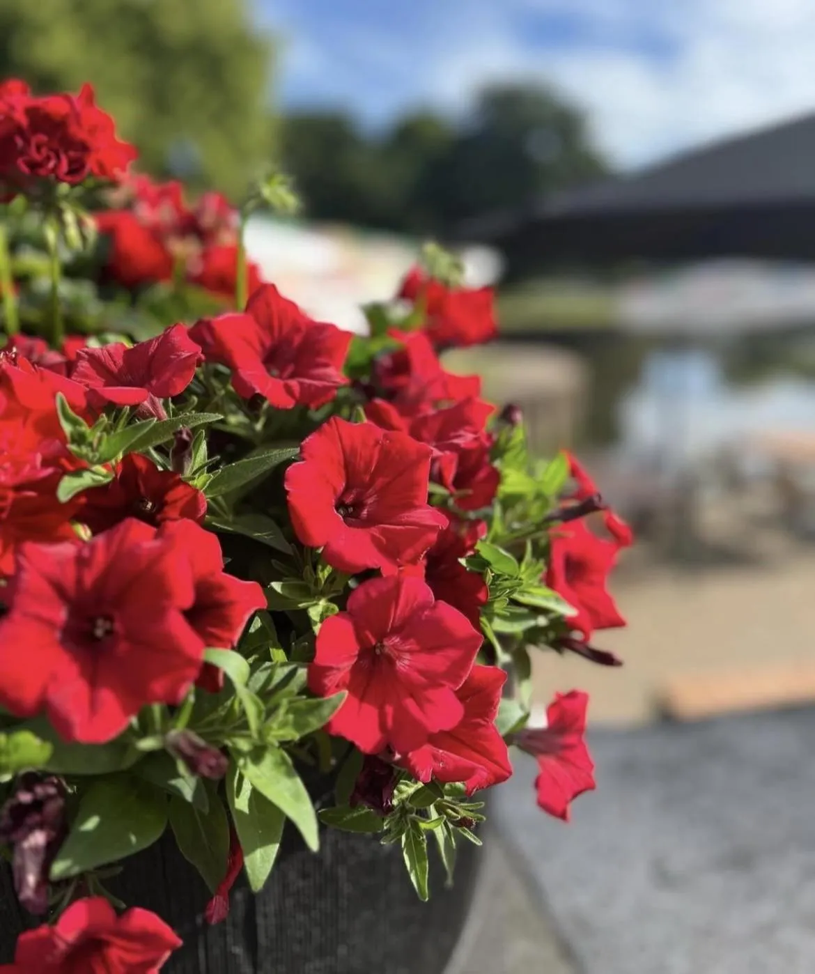 Other in The Steam Packet Inn