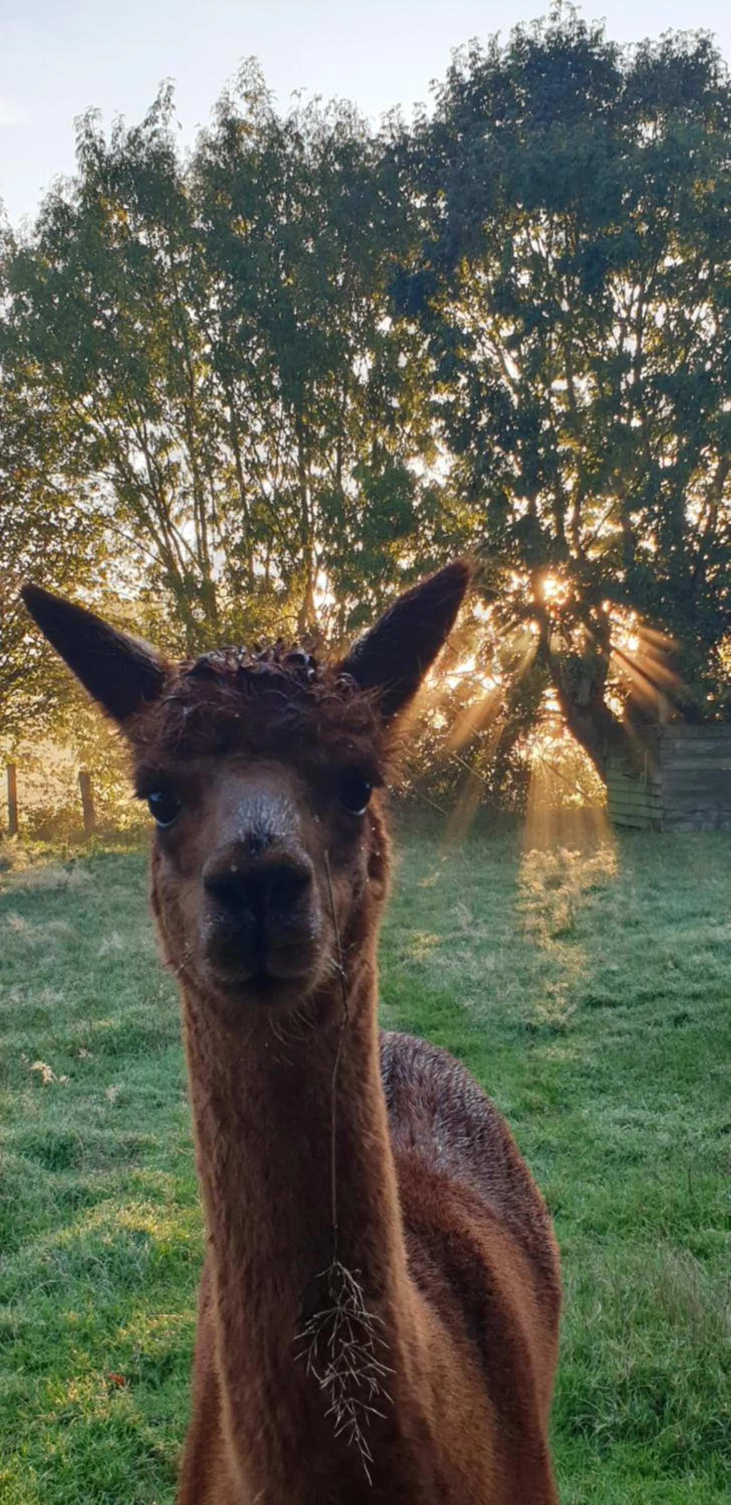 Aux murmures de la nature B&B