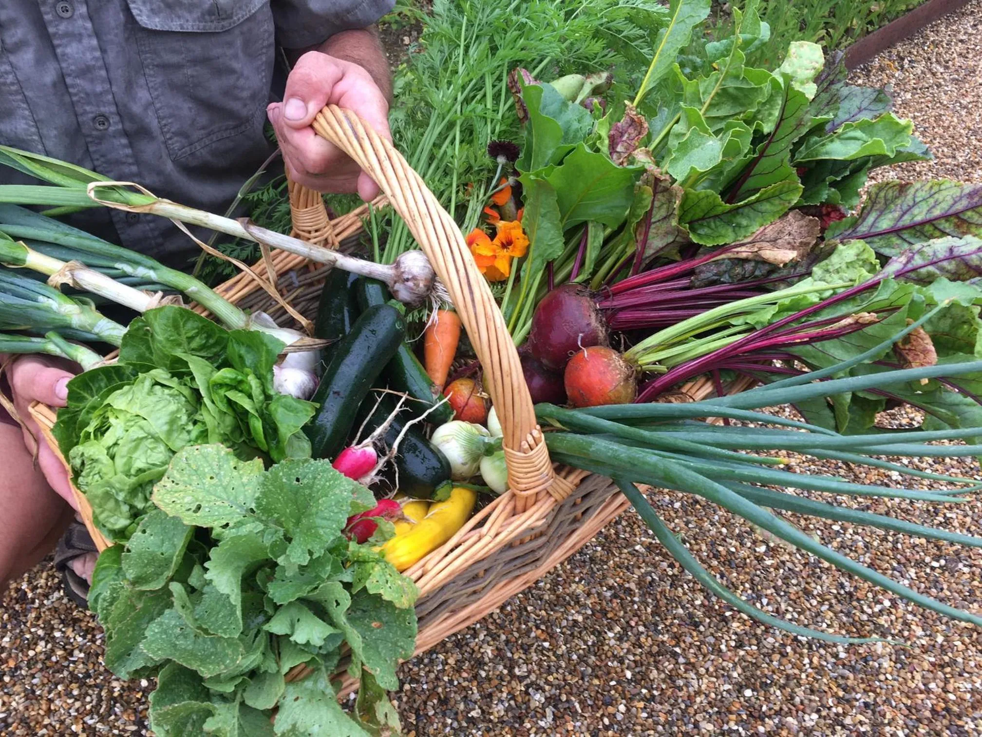 Garden in The Oaksmere
